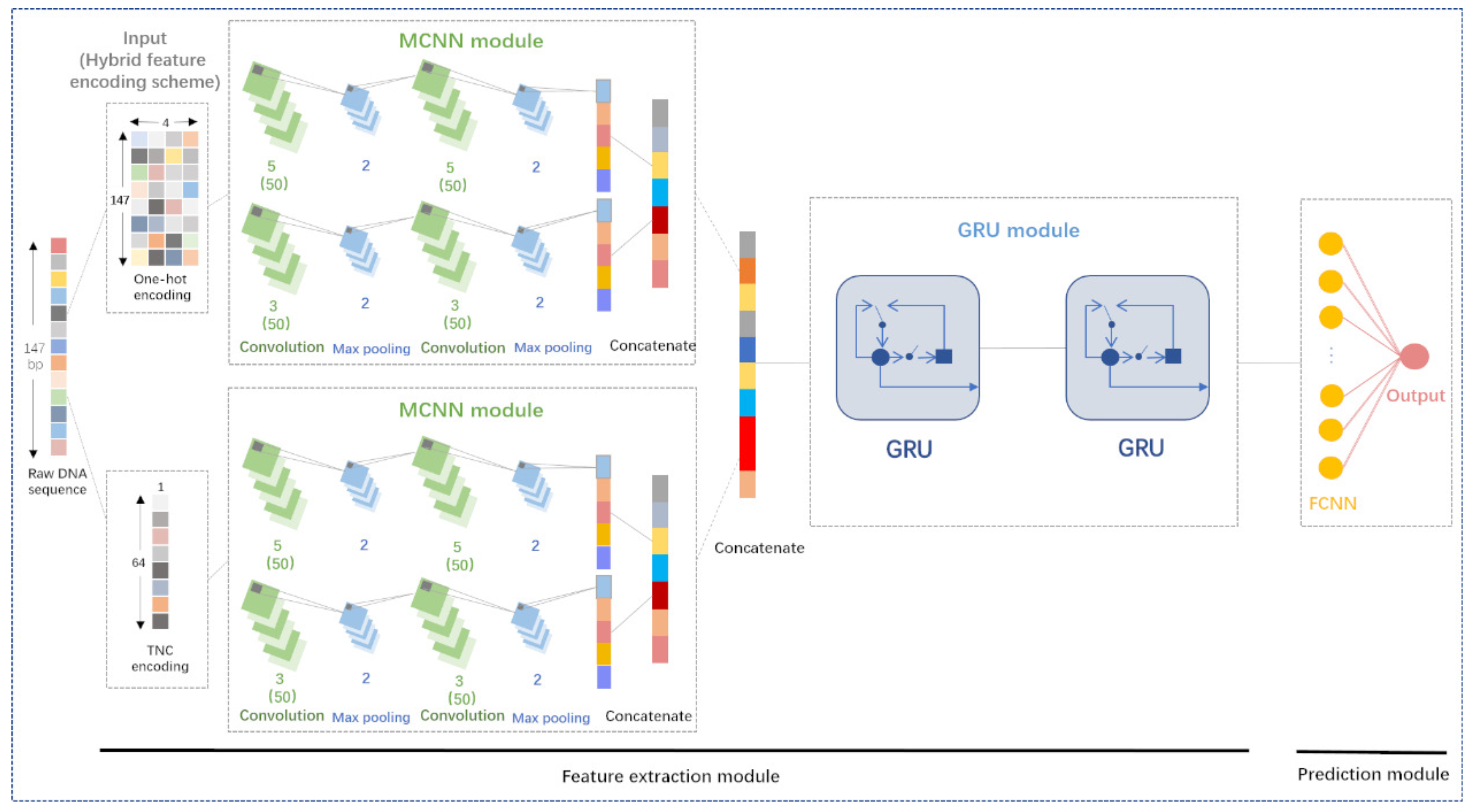 Genes 13 01983 g001