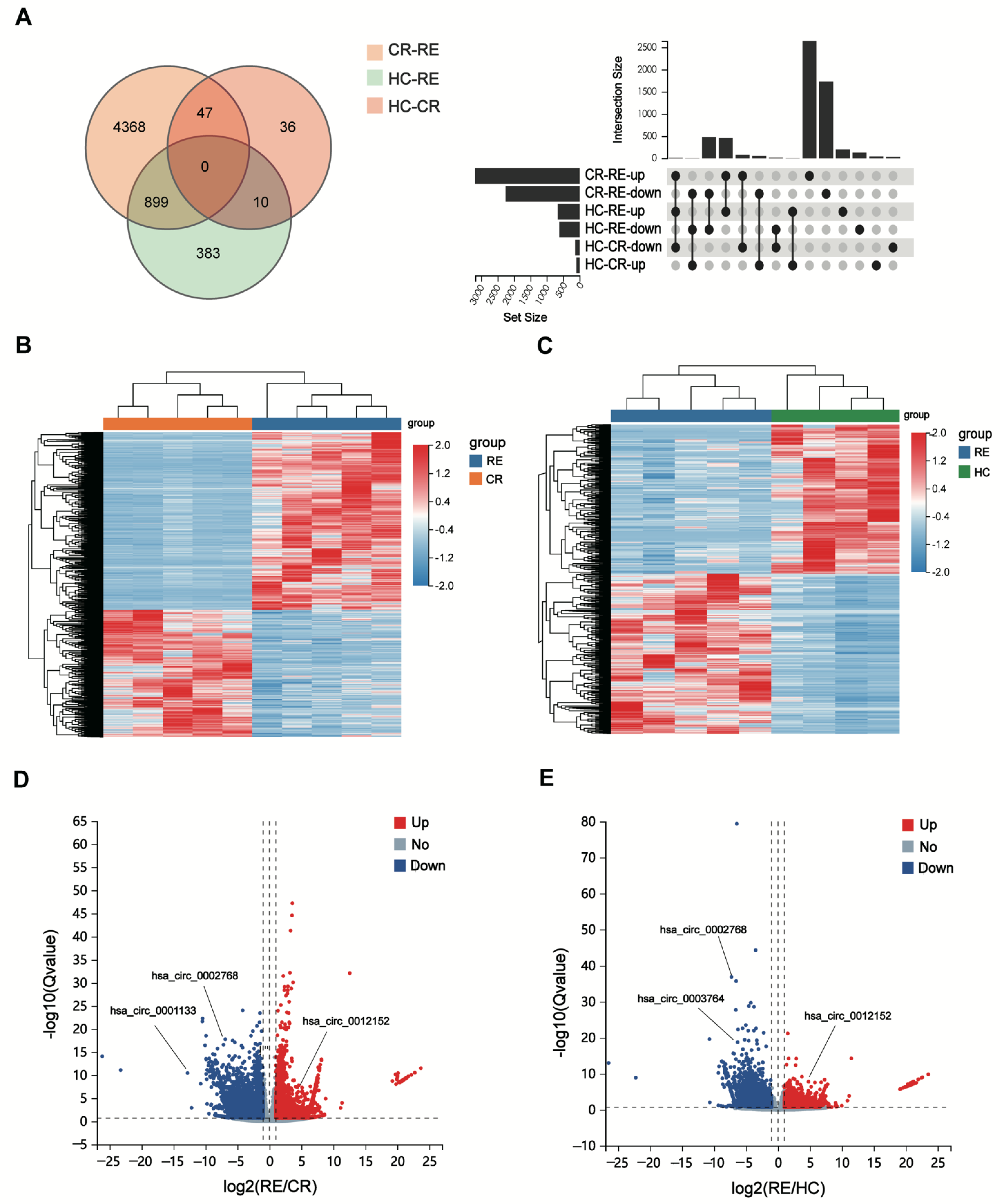 Genes 13 01986 g002