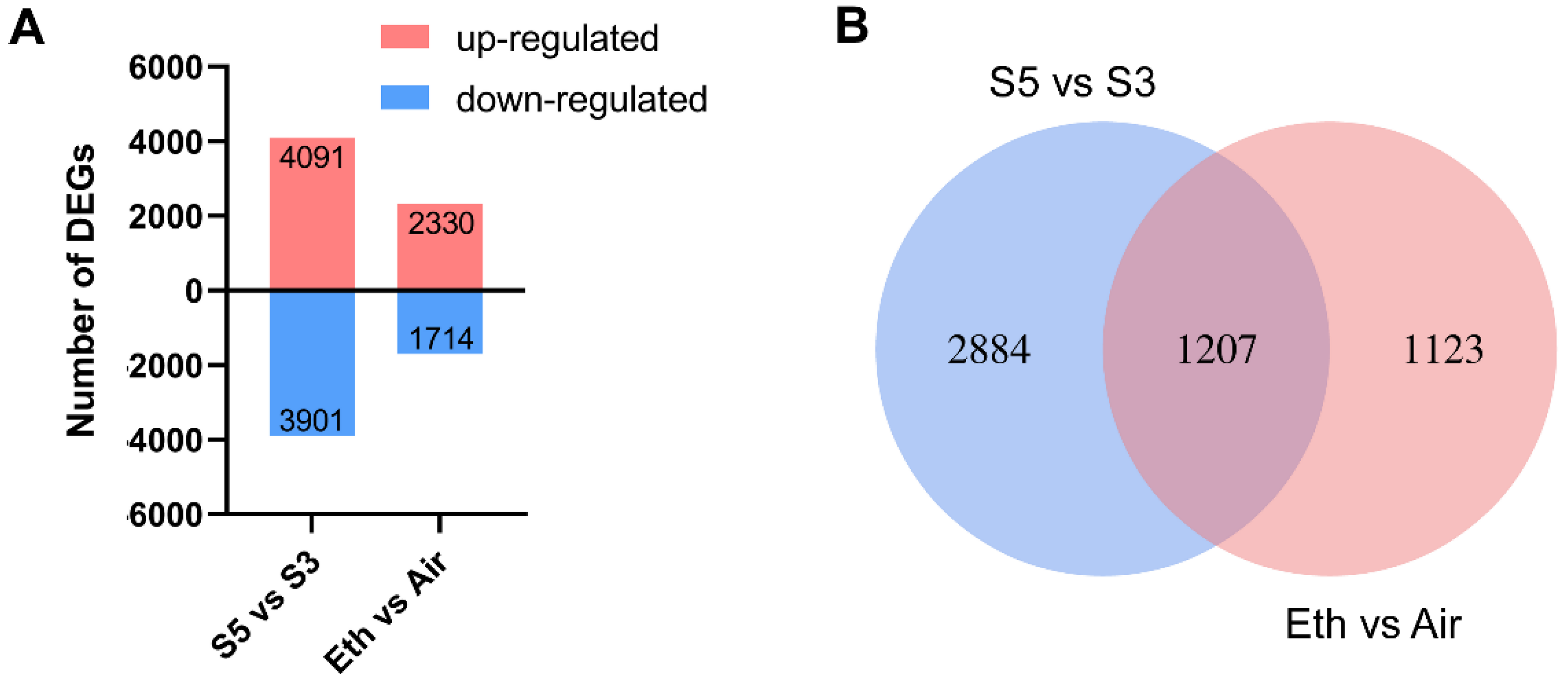 Genes 13 01989 g002