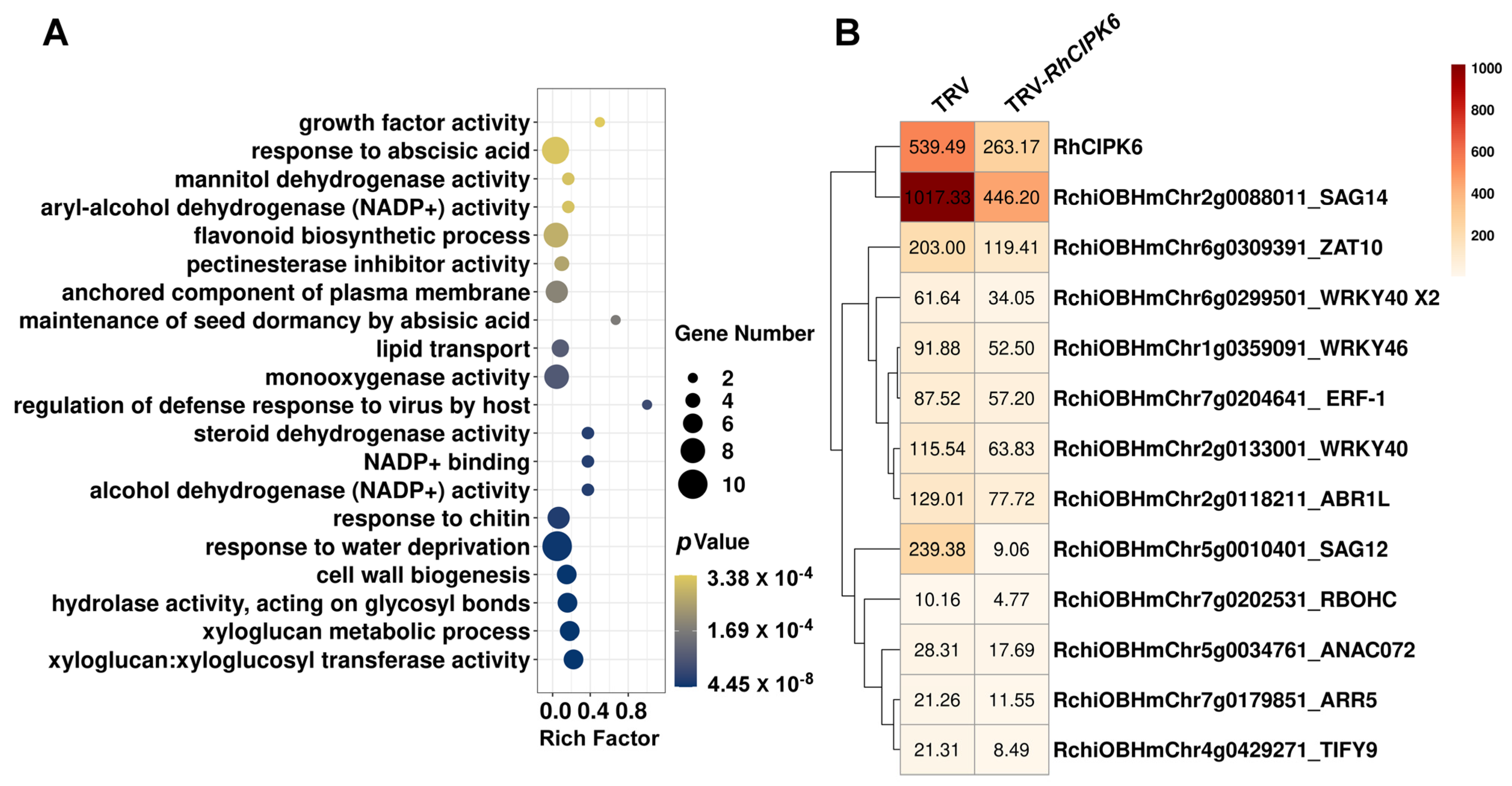Genes 13 01989 g006