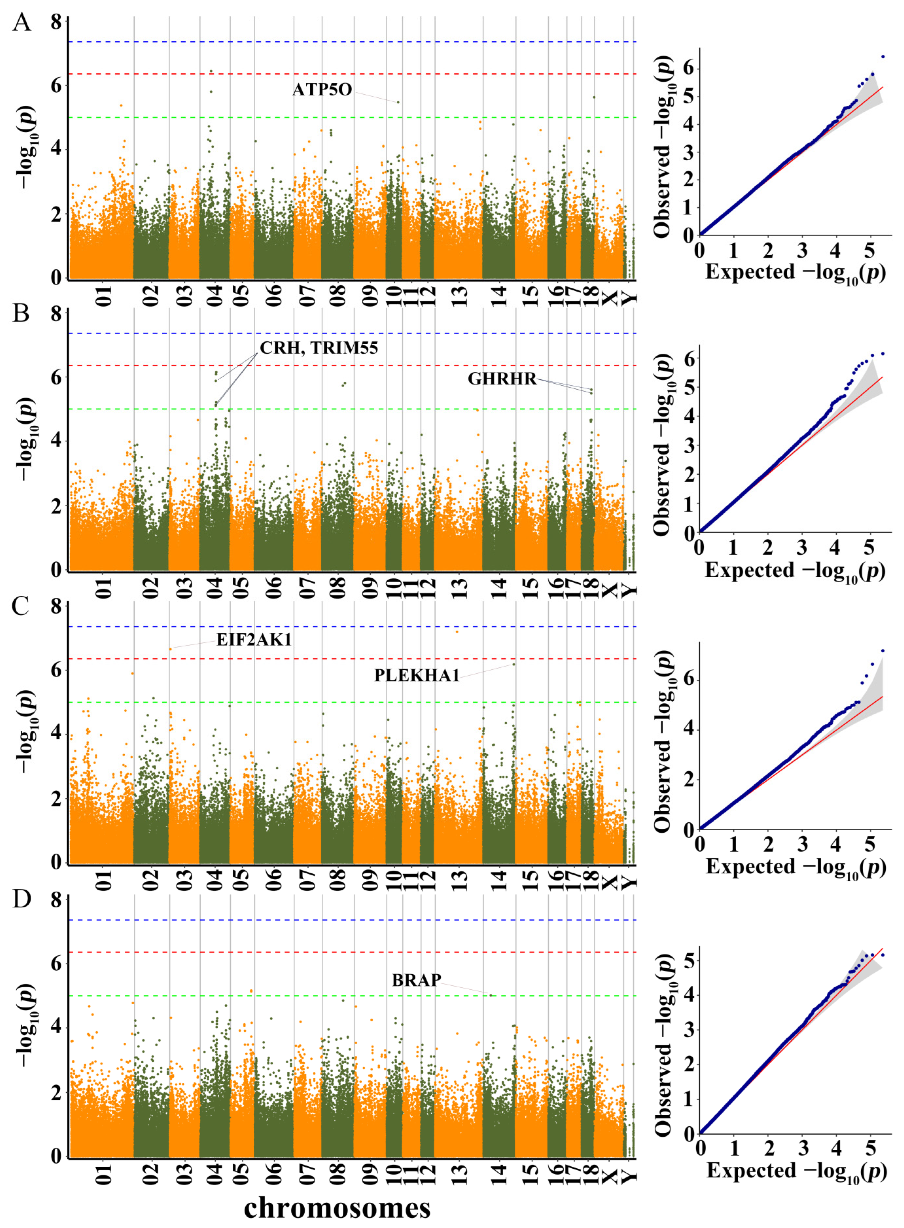 Genes 13 01990 g003 Genes 13 01990 g003