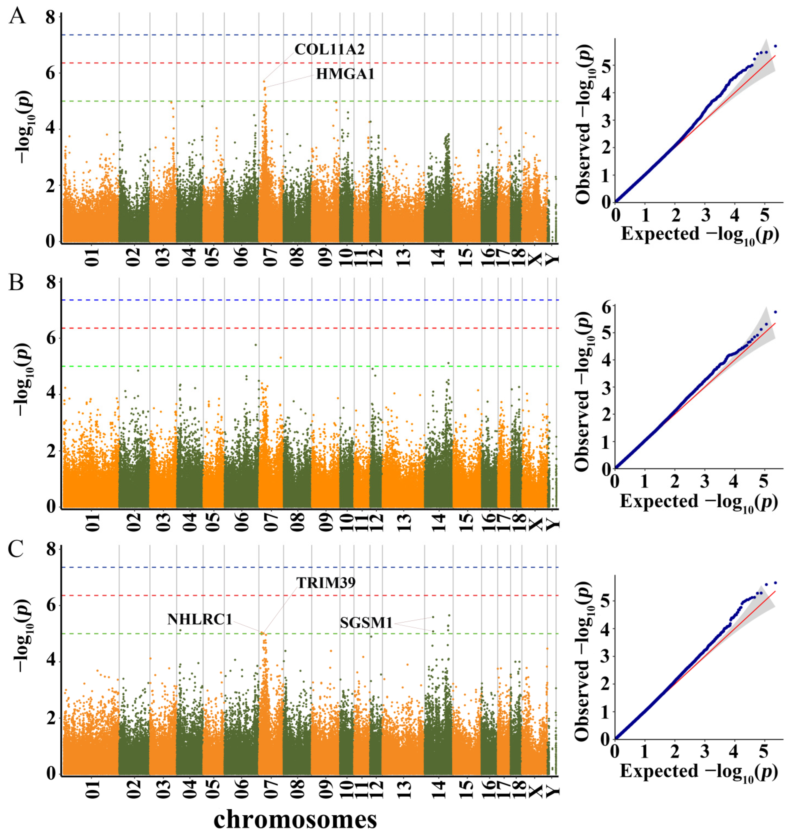 Genes 13 01990 g004 Genes 13 01990 g004