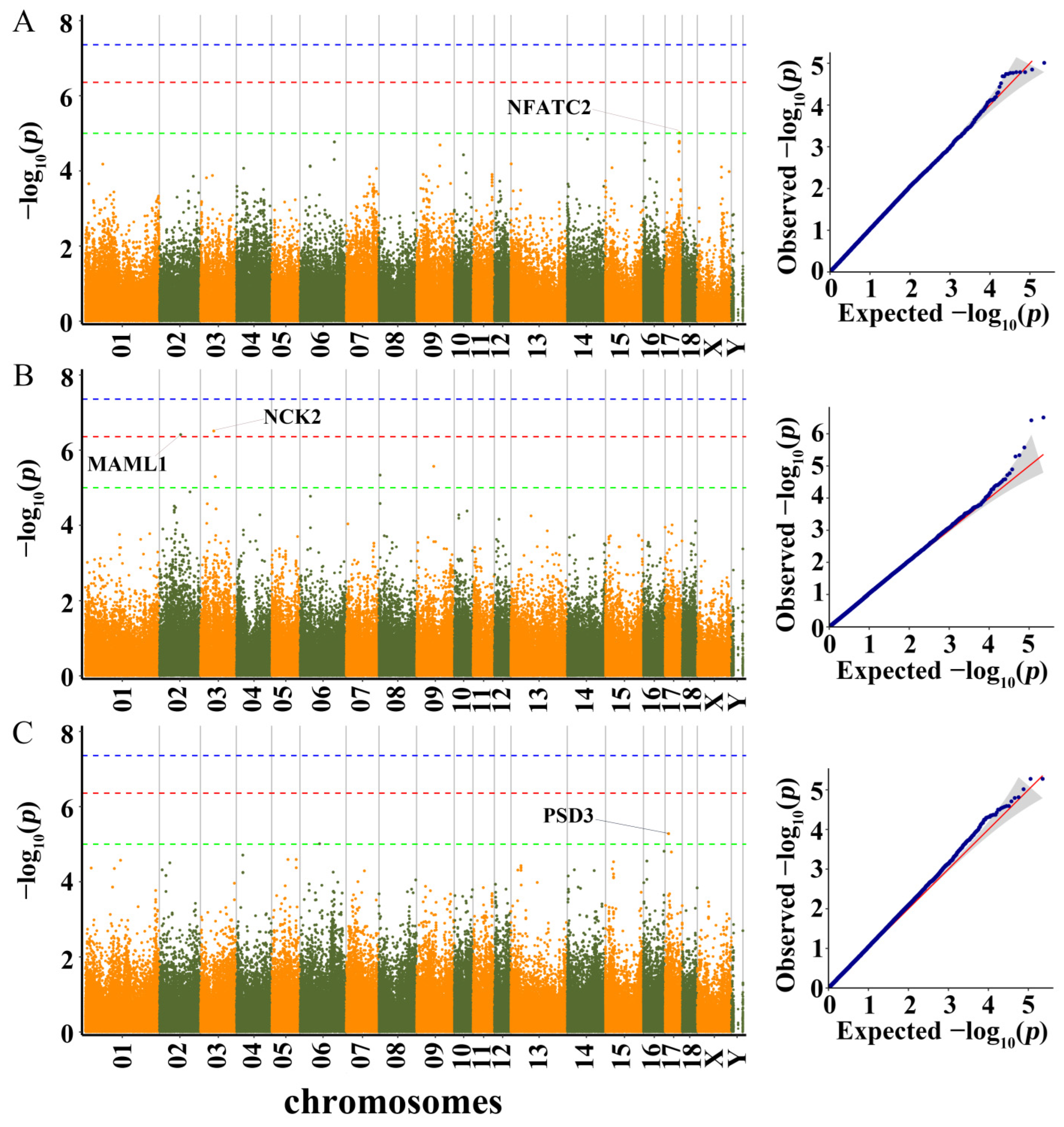 Genes 13 01990 g005 Genes 13 01990 g005