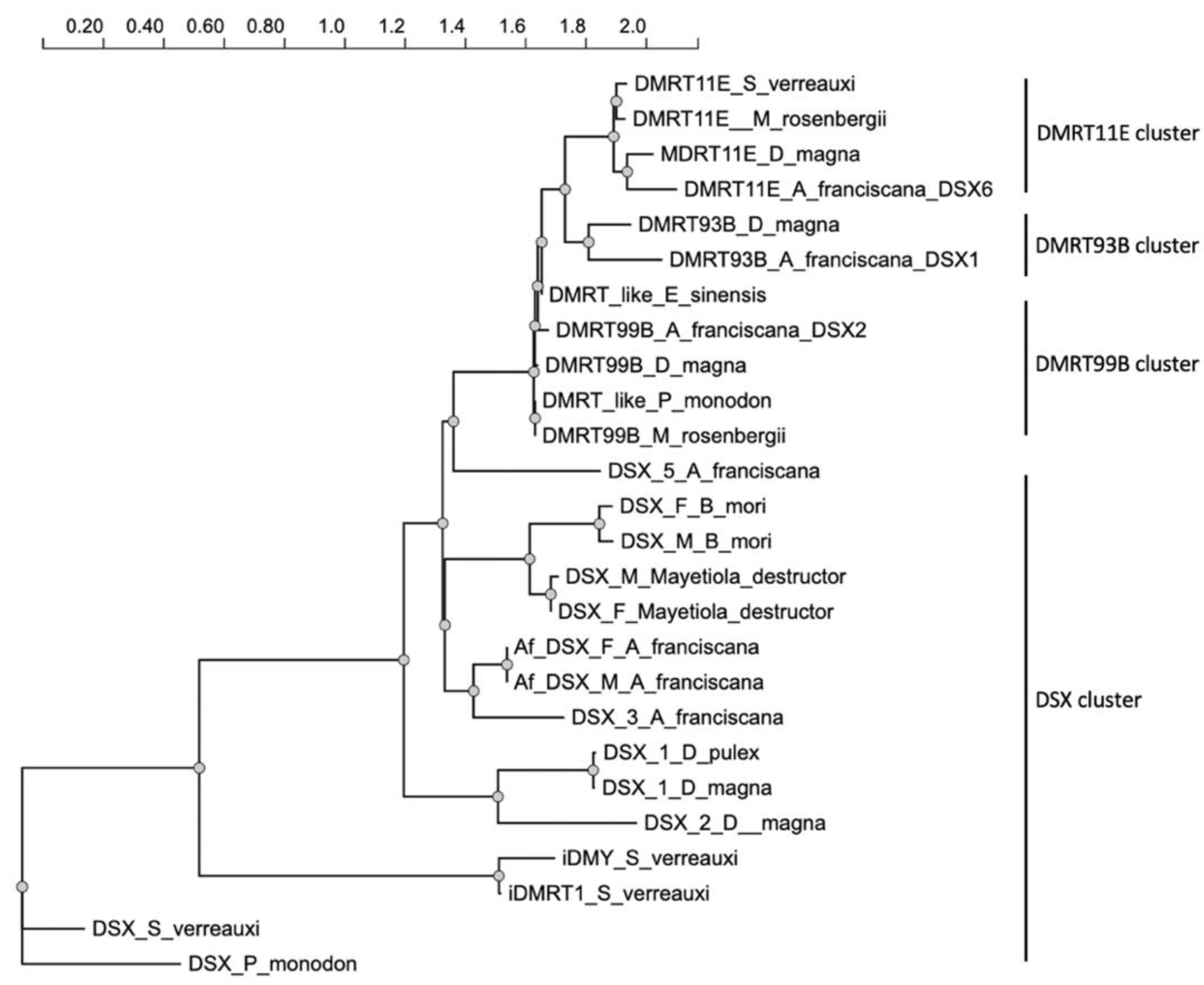 Genes 13 01997 g004