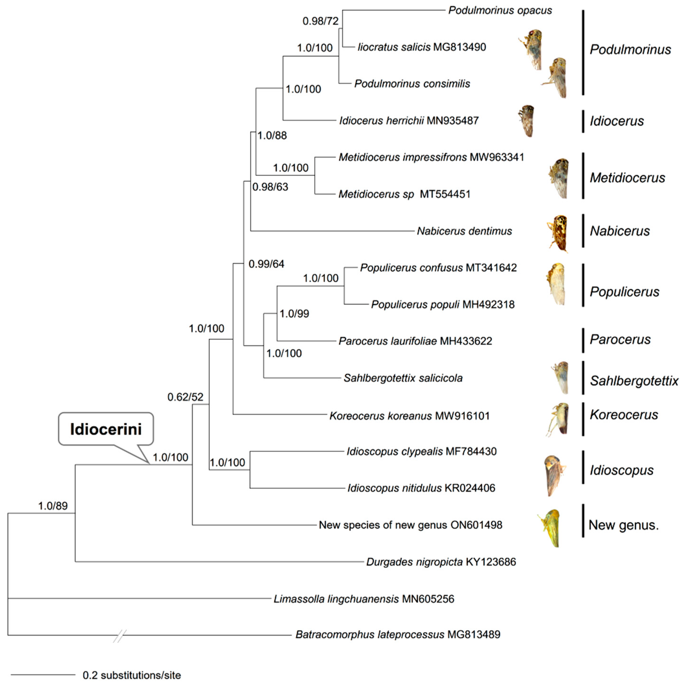 Genes 13 02000 g006 Genes 13 02000 g006