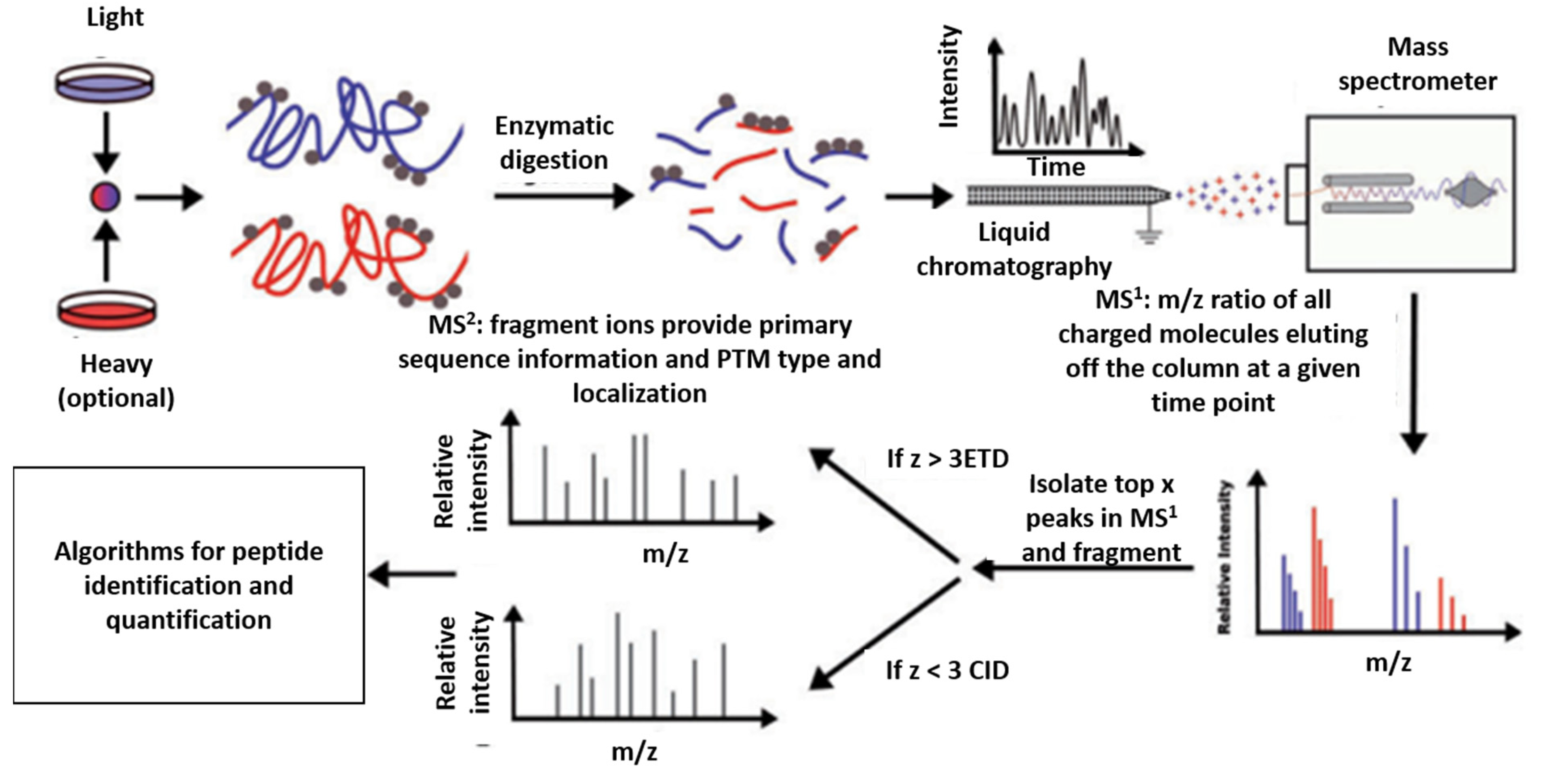 Genes 13 02006 g003