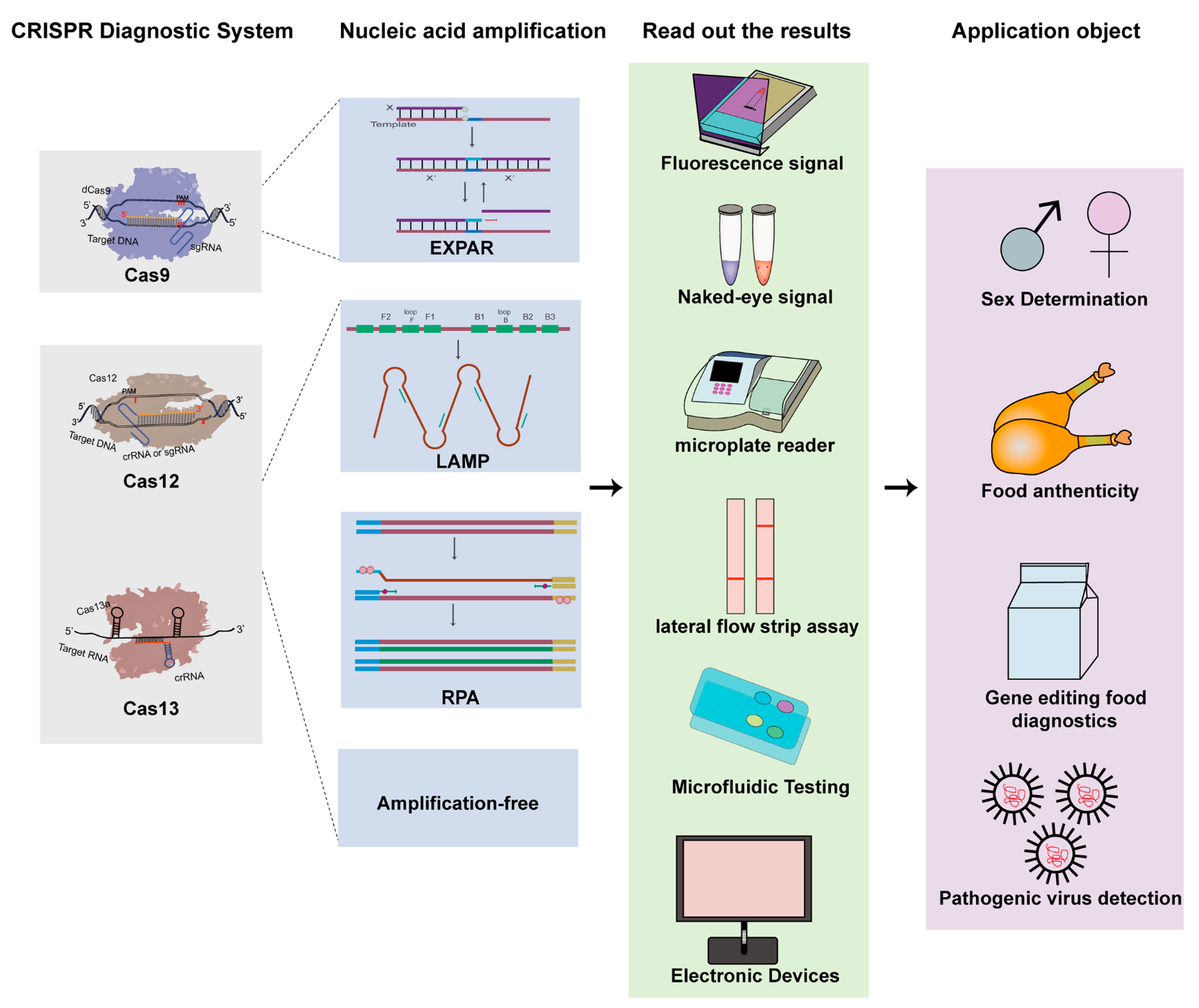 Genes 13 02007 g001
