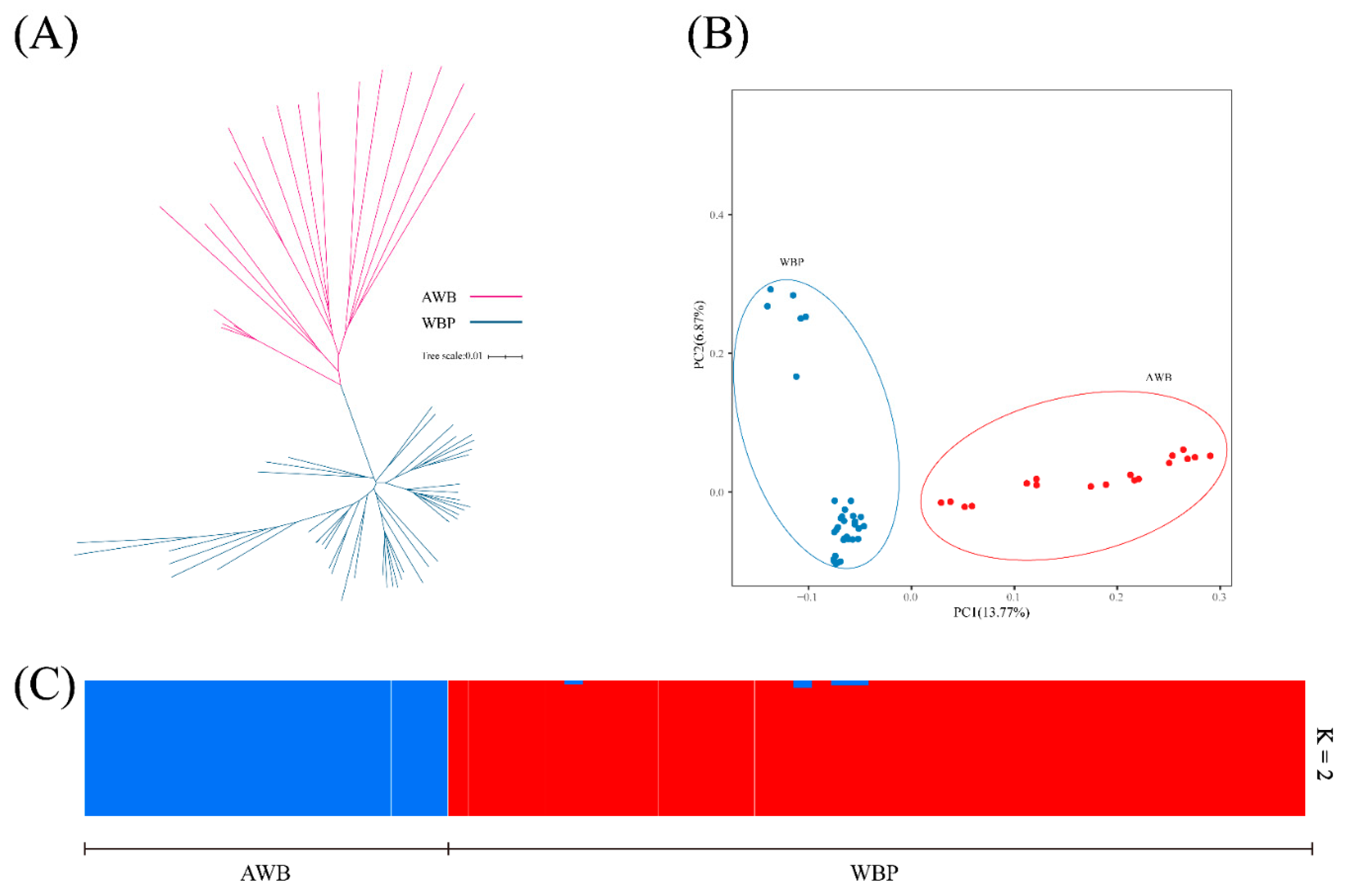 Genes 13 02026 g002