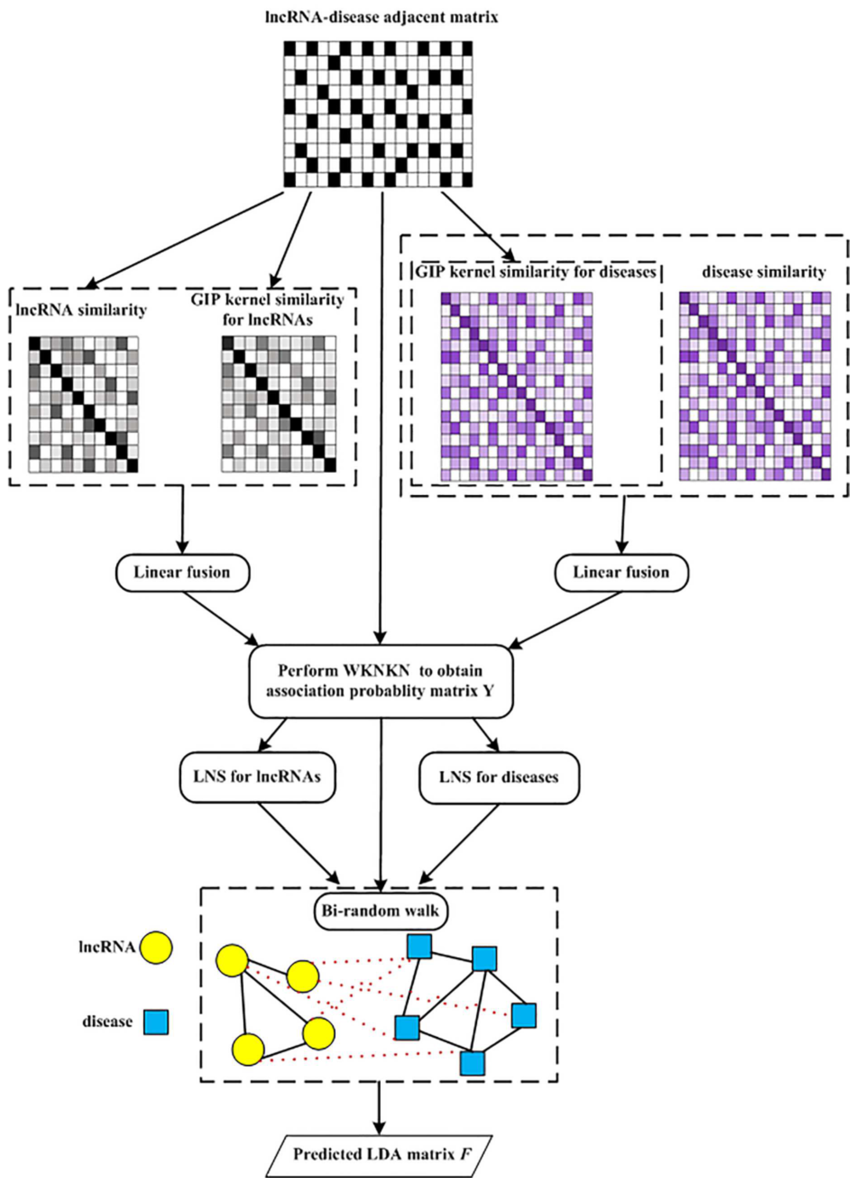 Genes 13 02032 g002 Genes 13 02032 g002