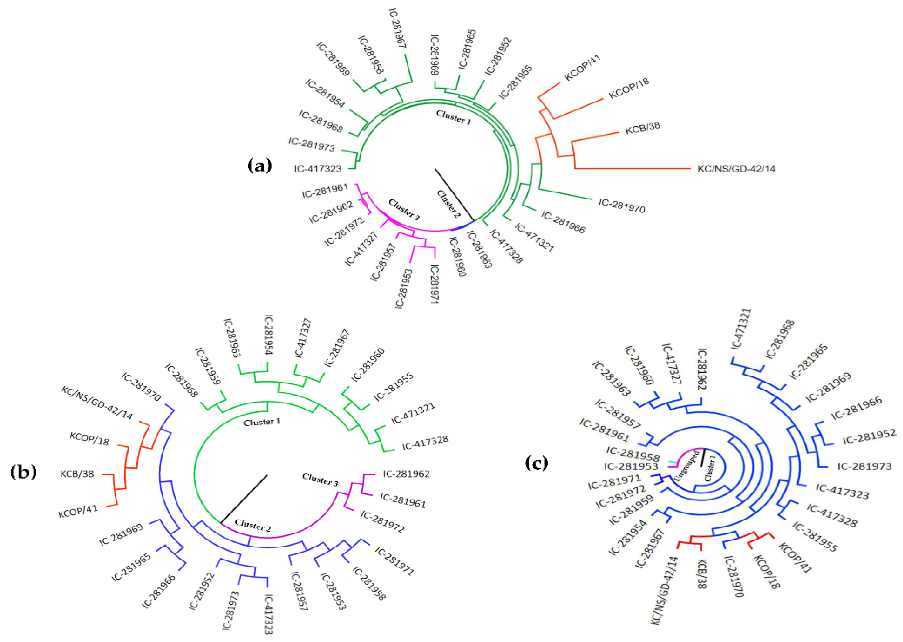 Genes 13 02042 g001 Genes 13 02042 g001