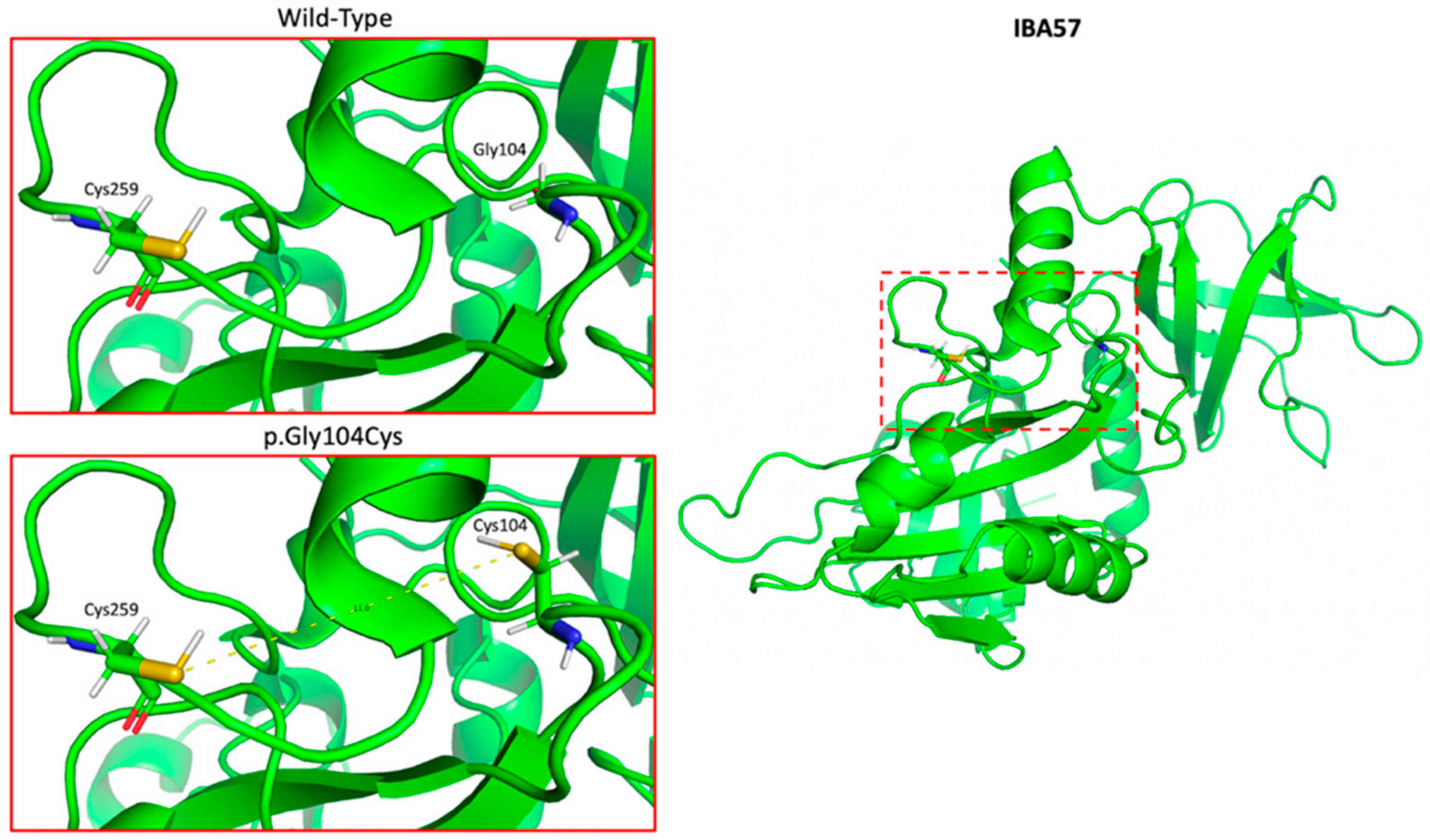 Genes 13 02044 g001 Genes 13 02044 g001