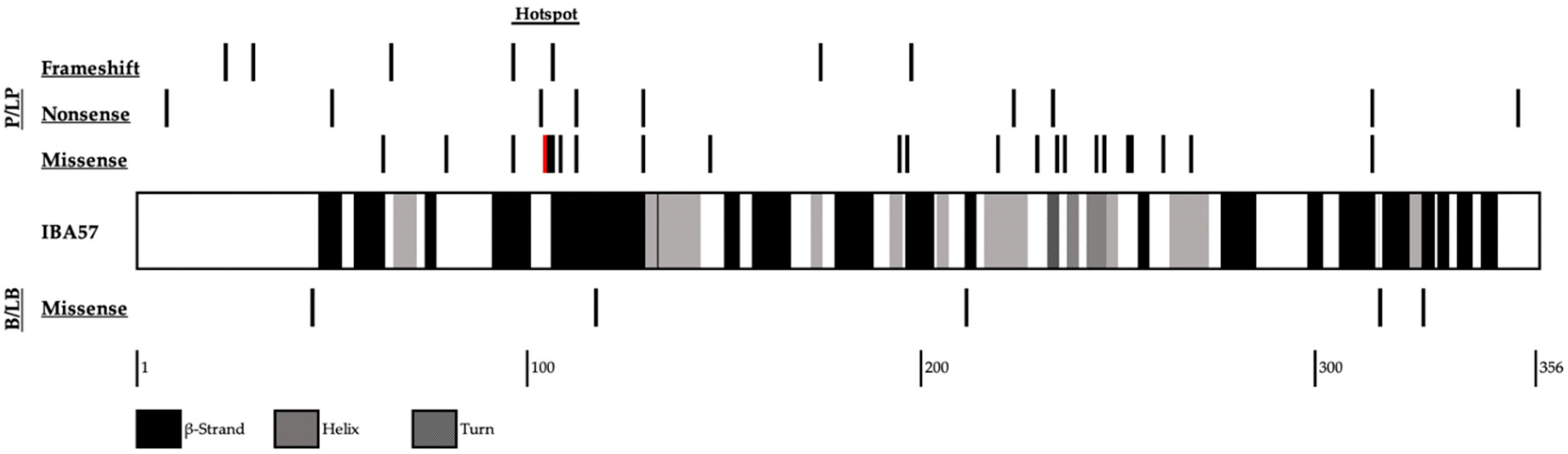Genes 13 02044 g003 Genes 13 02044 g003