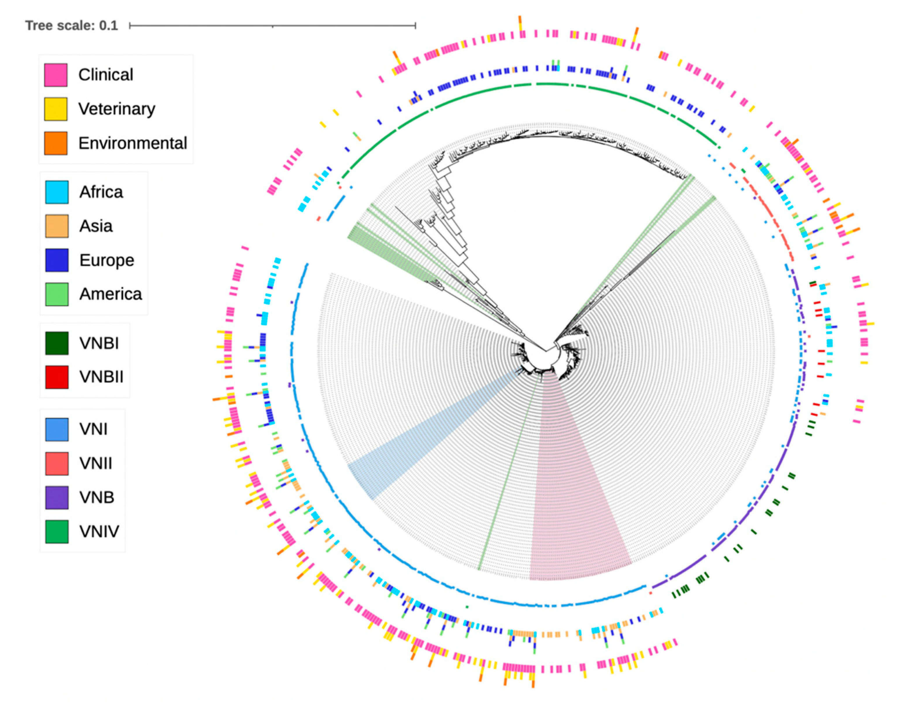 Genes 13 02045 g001