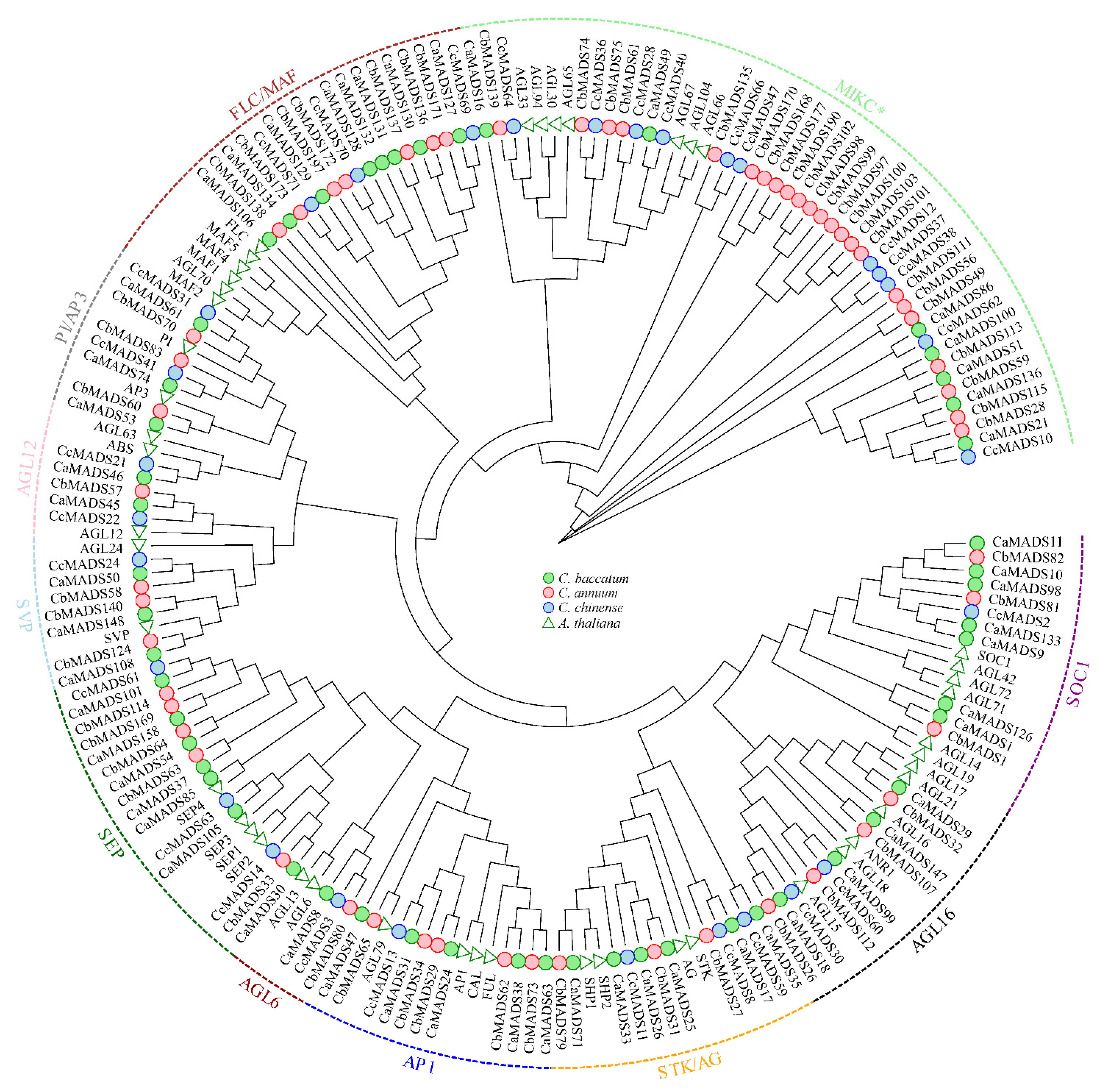 Genes 13 02047 g001 Genes 13 02047 g001