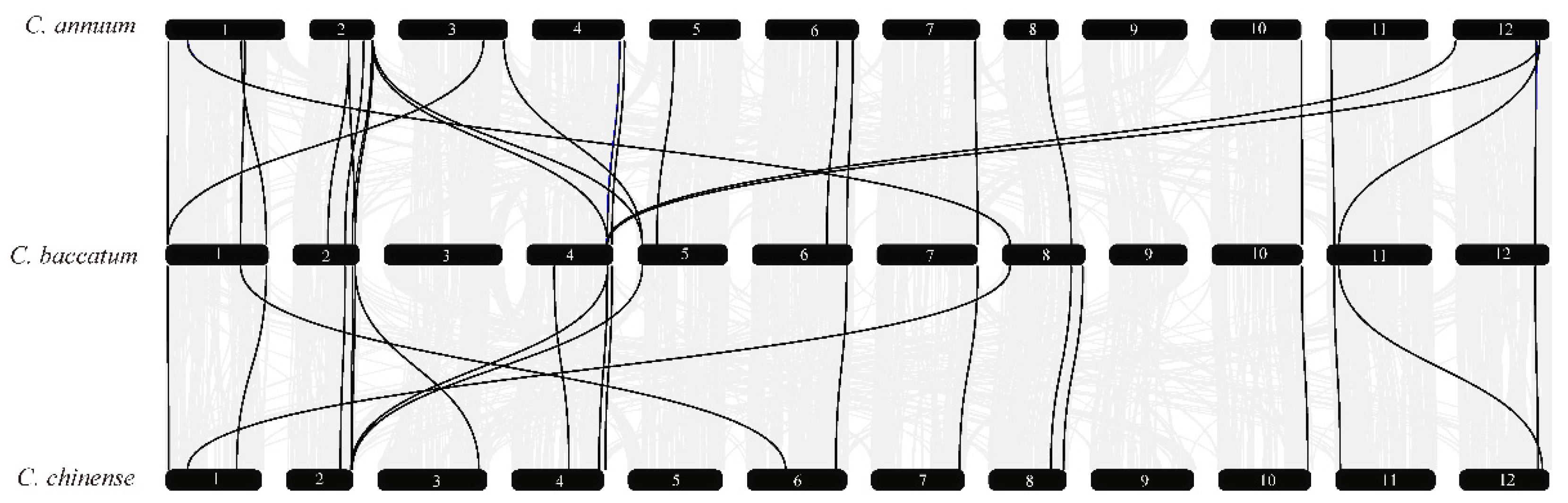 Genes 13 02047 g005 Genes 13 02047 g005