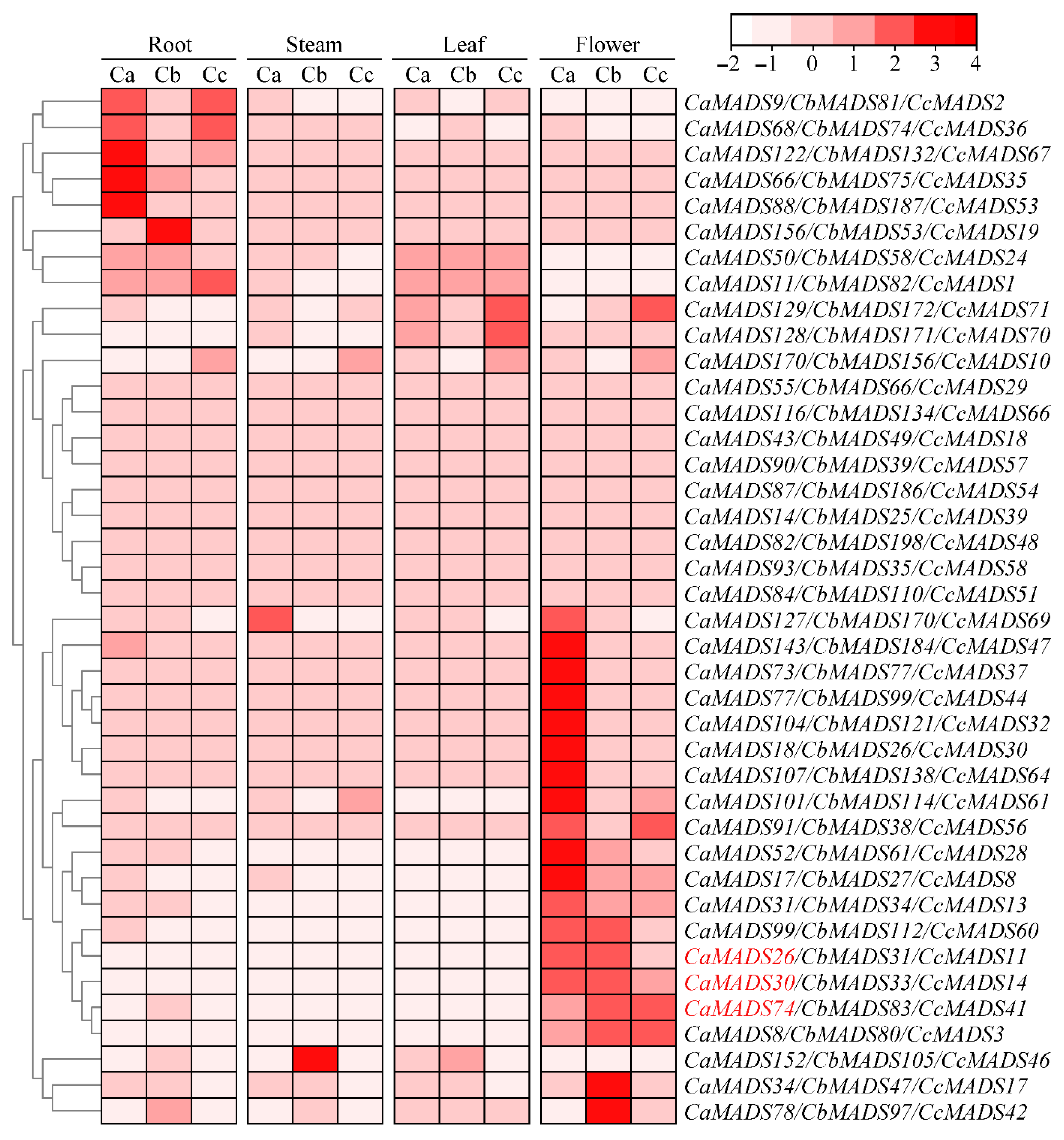 Genes 13 02047 g006 Genes 13 02047 g006