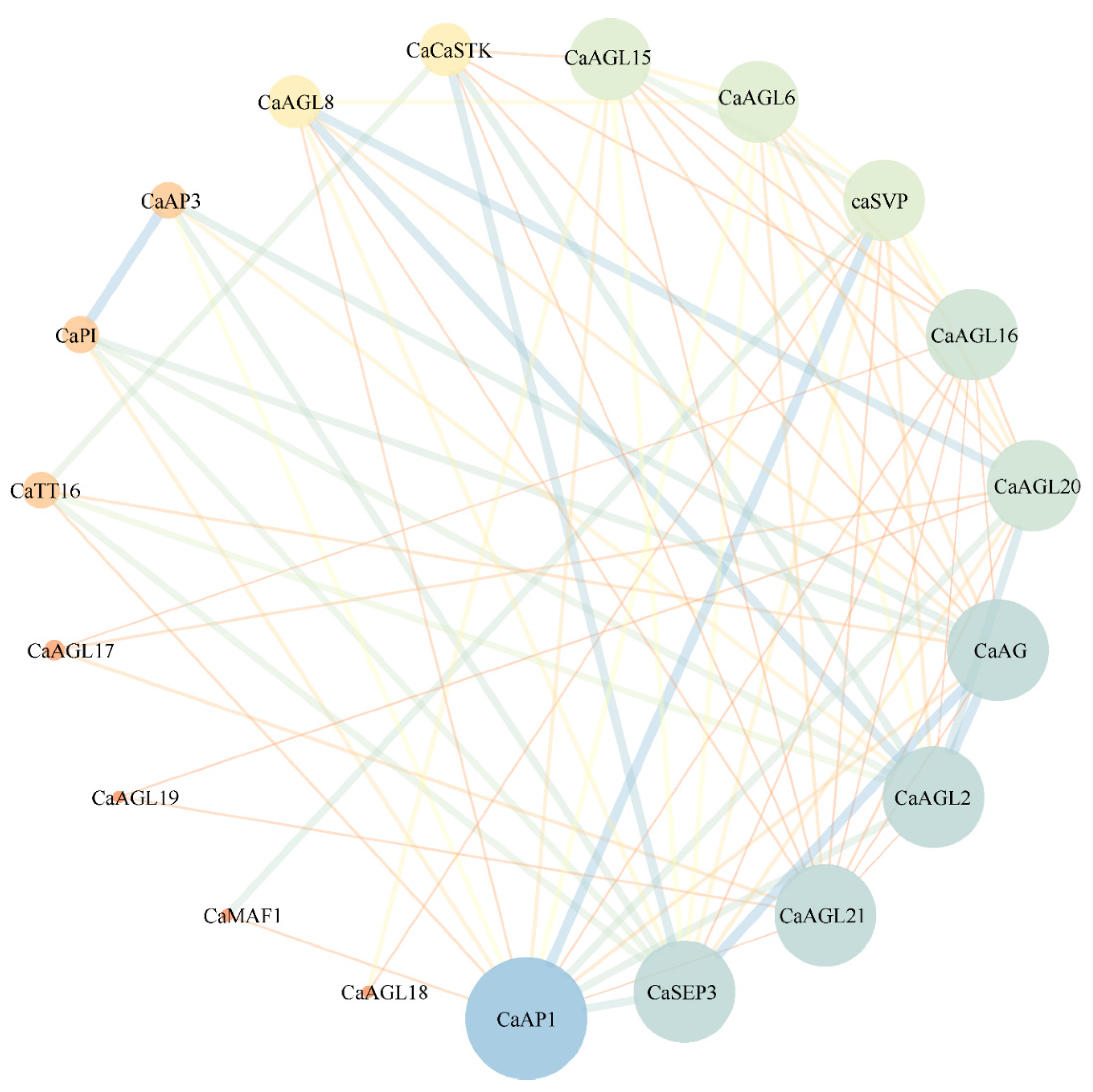 Genes 13 02047 g007 Genes 13 02047 g007