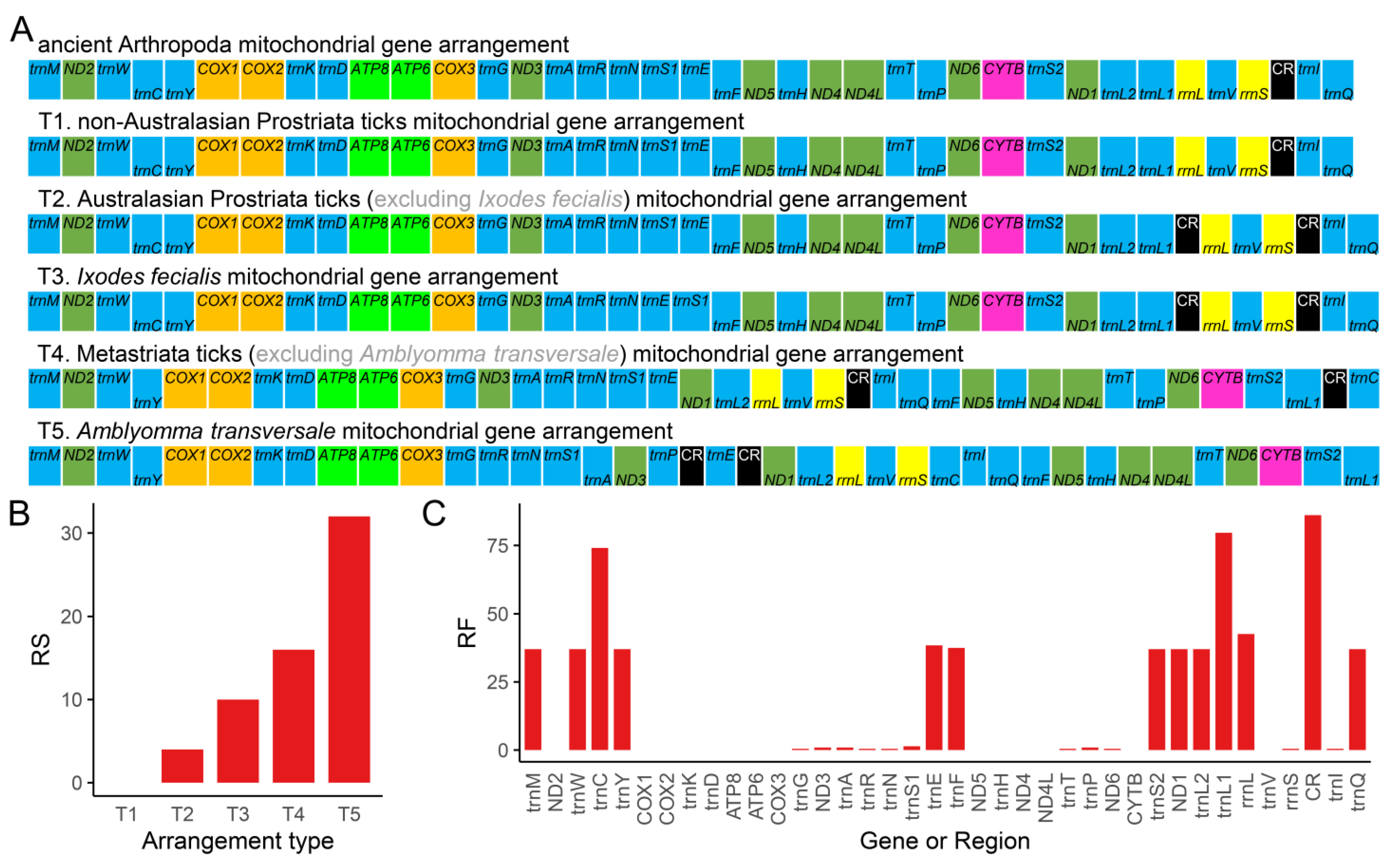 Genes 13 02049 g006