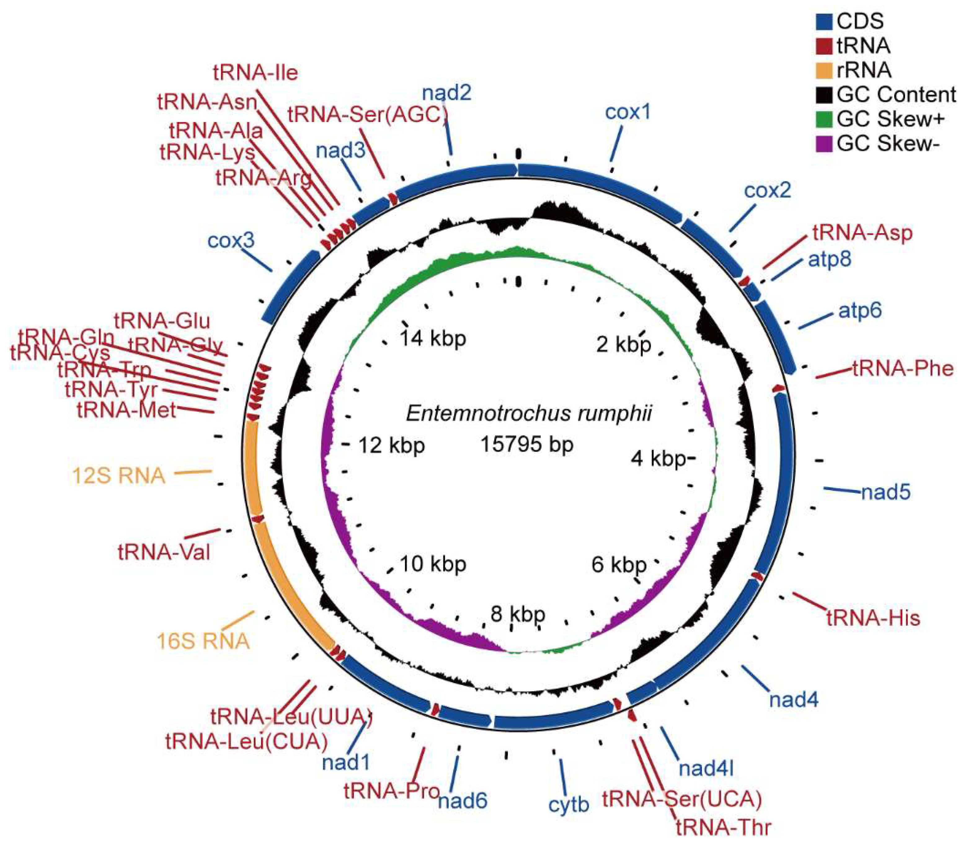 Genes 13 02061 g001