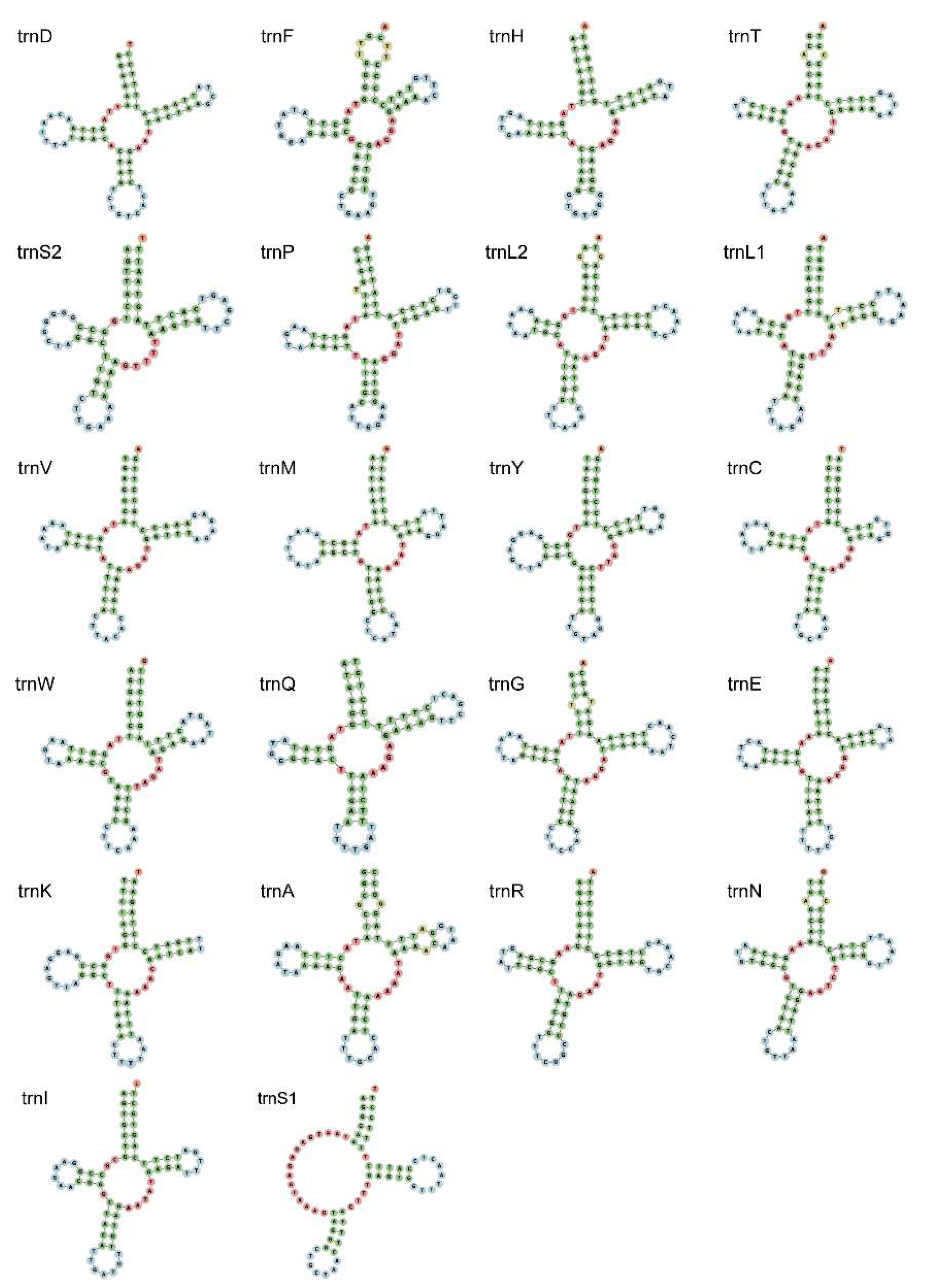 Genes 13 02061 g003
