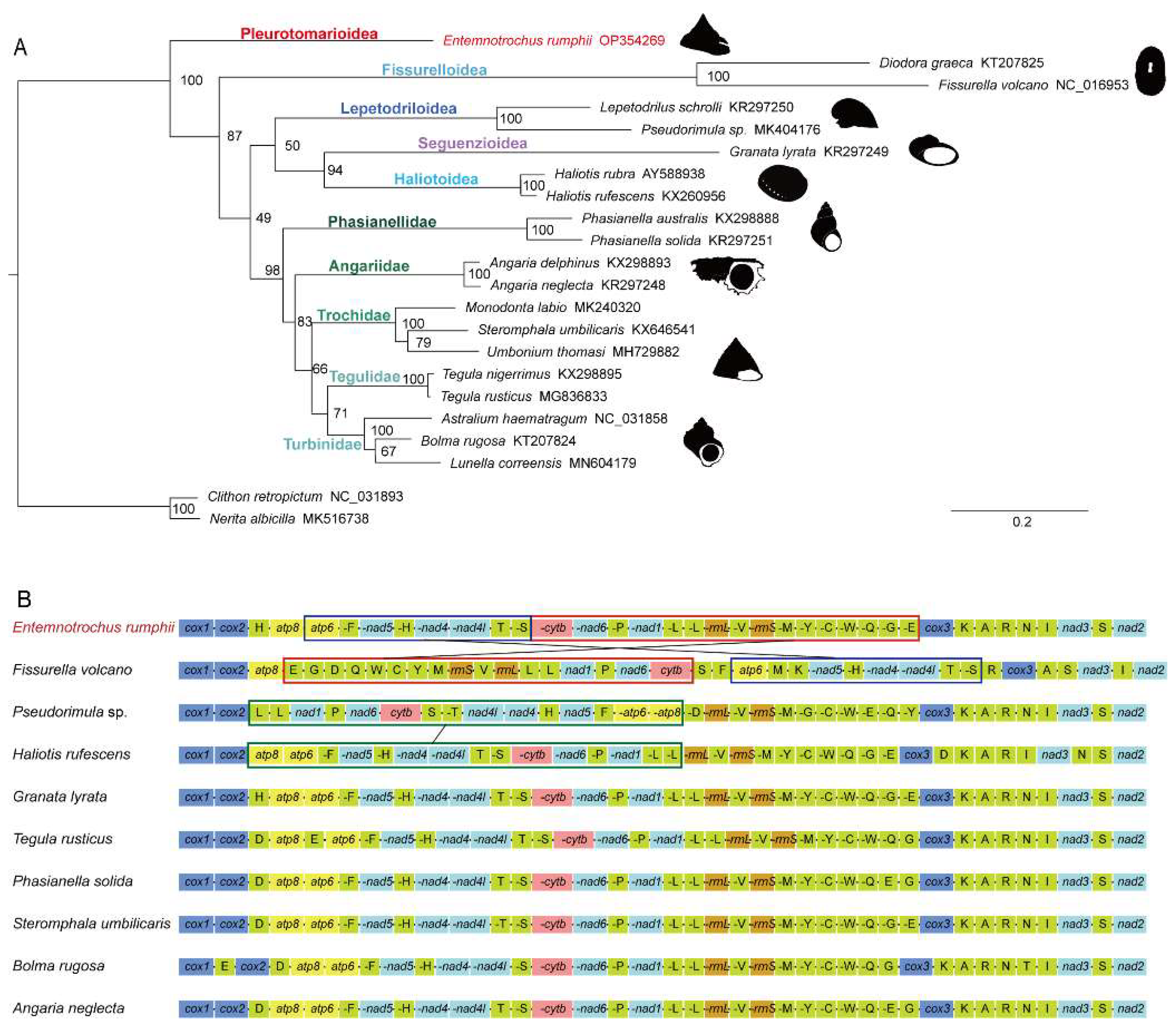 Genes 13 02061 g004