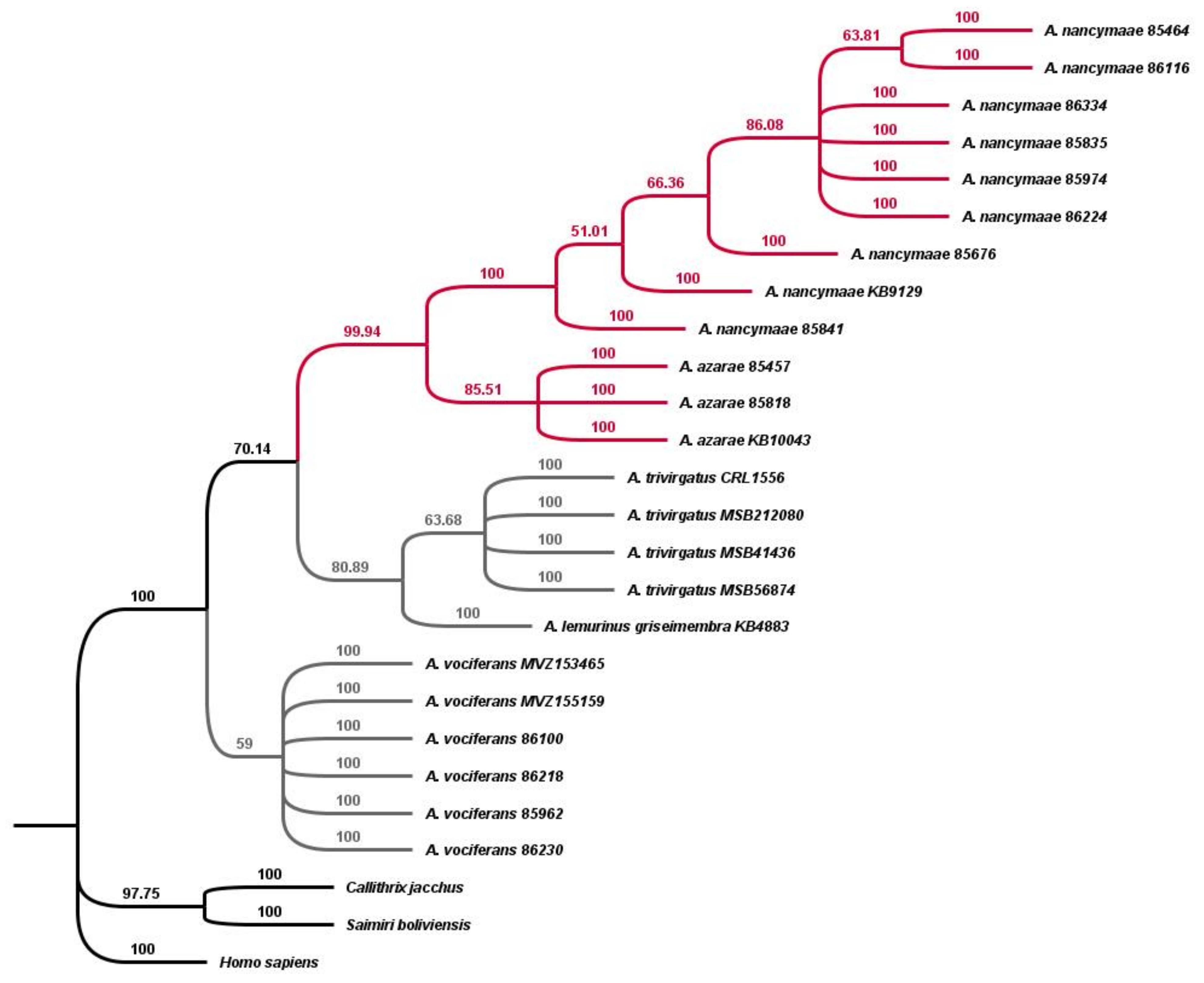 Genes 13 02069 g003 Genes 13 02069 g003
