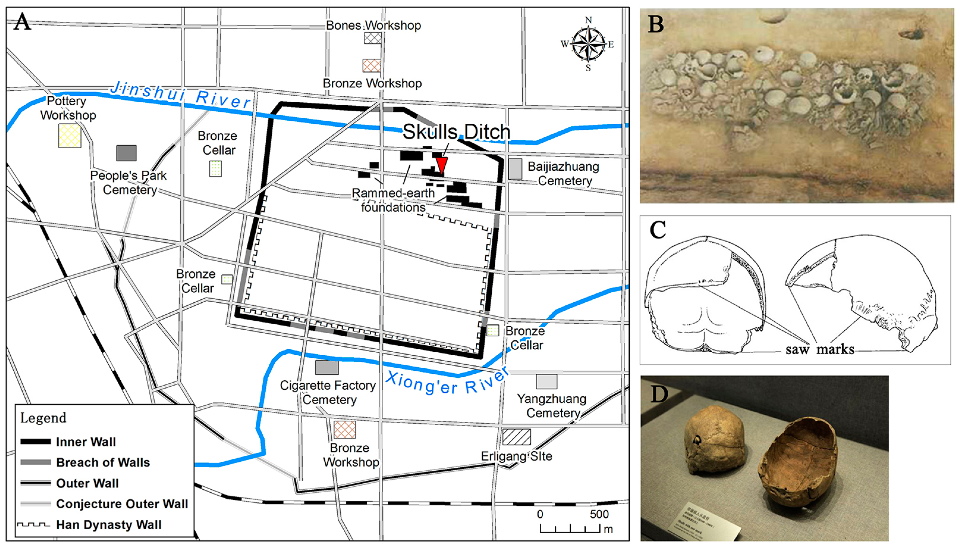 Genes 13 02077 g001 Genes 13 02077 g001