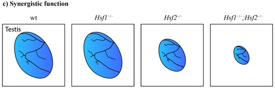 Genes 13 02082 g002b