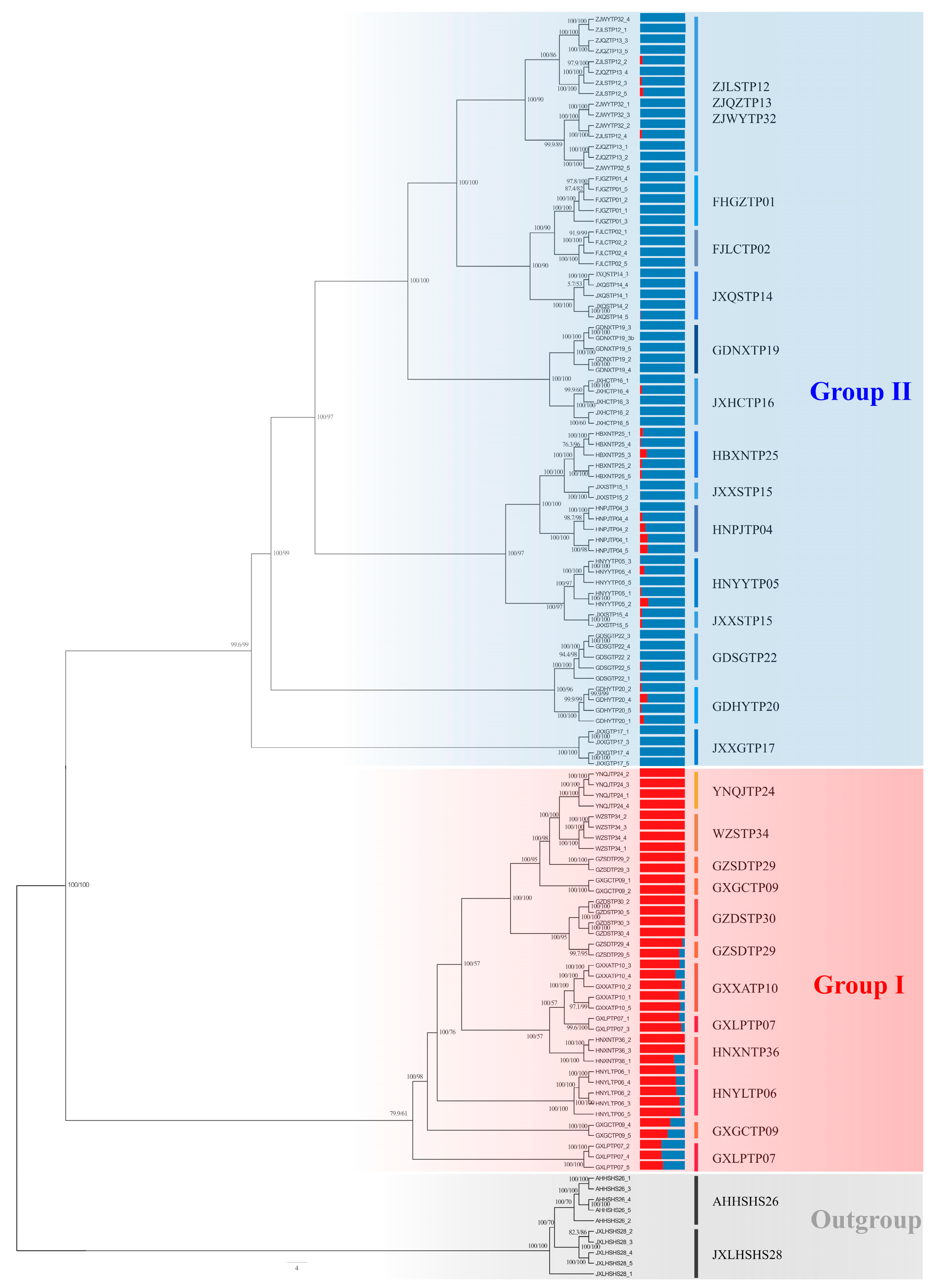 Genes 13 02093 g002 Genes 13 02093 g002