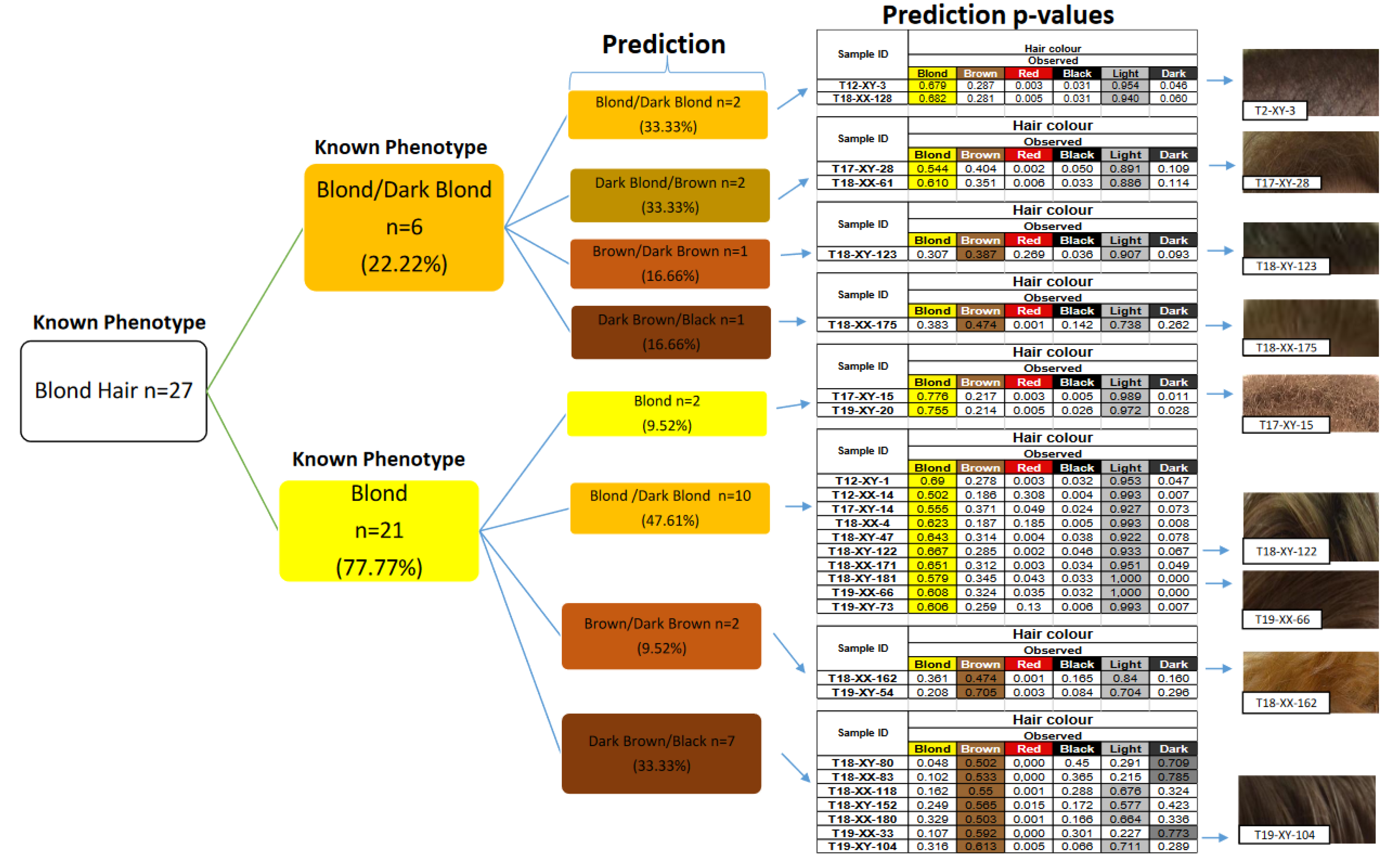 Genes 13 02094 g002