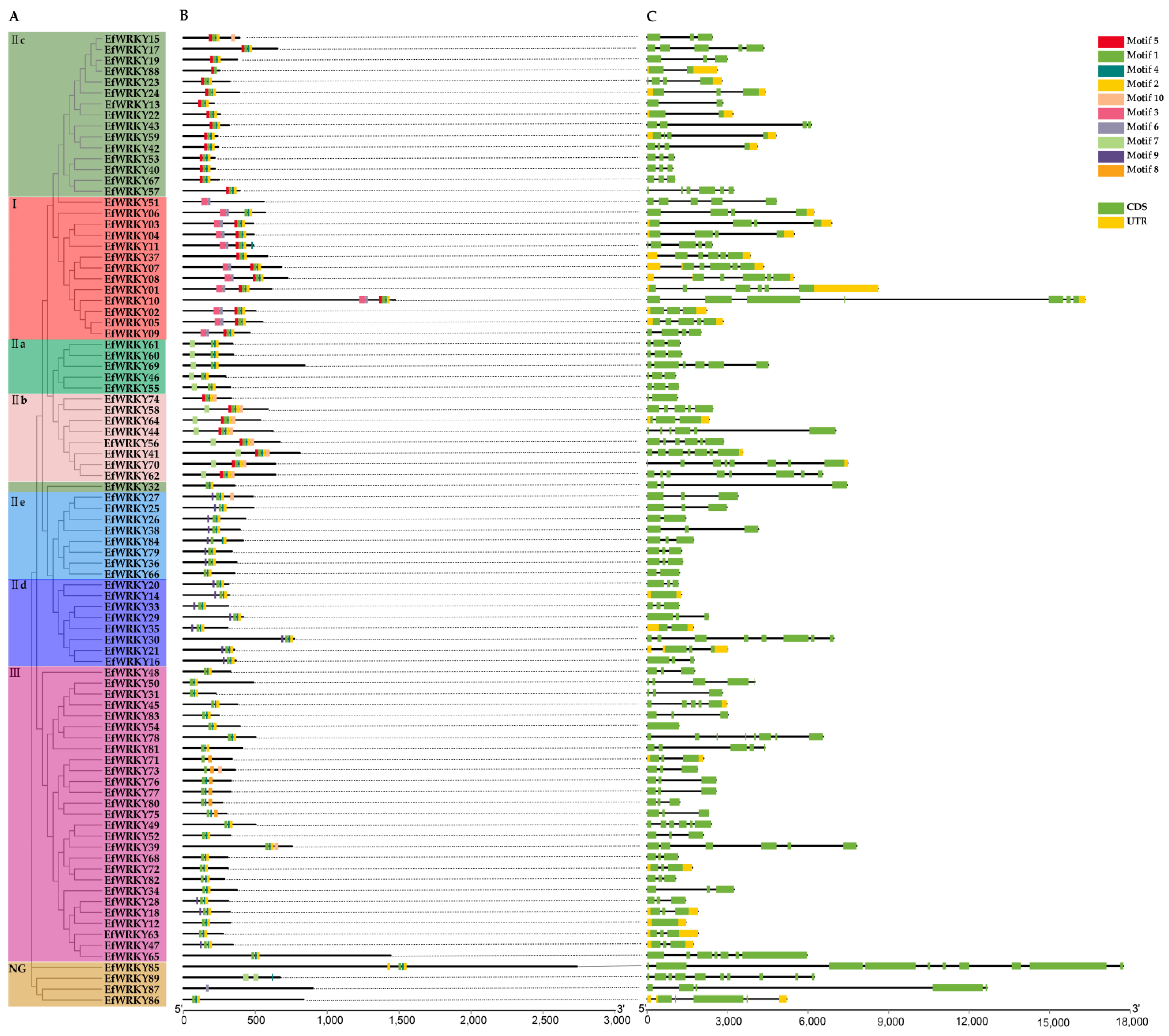 Genes 13 02102 g002 Genes 13 02102 g002