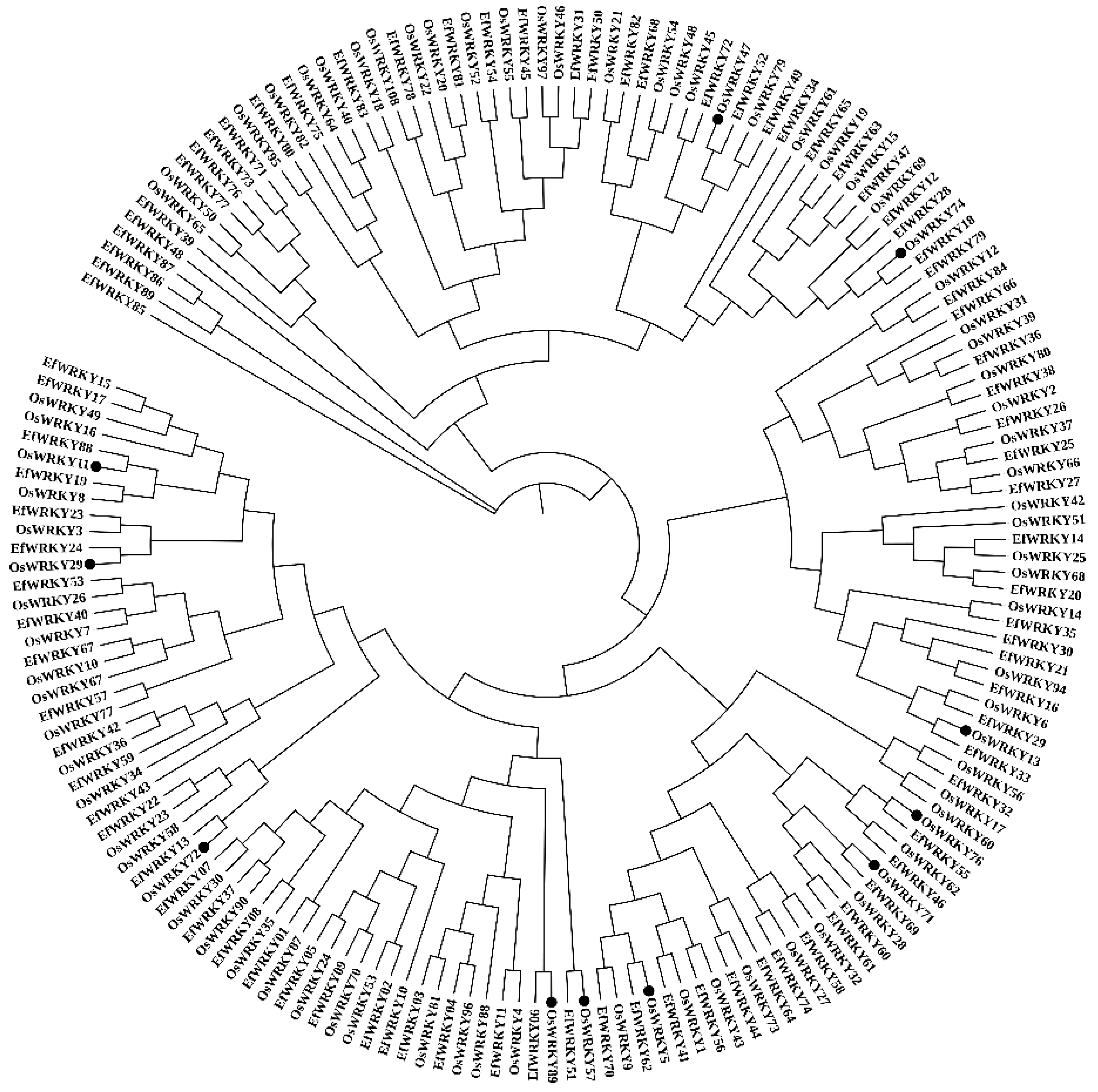 Genes 13 02102 g003 Genes 13 02102 g003