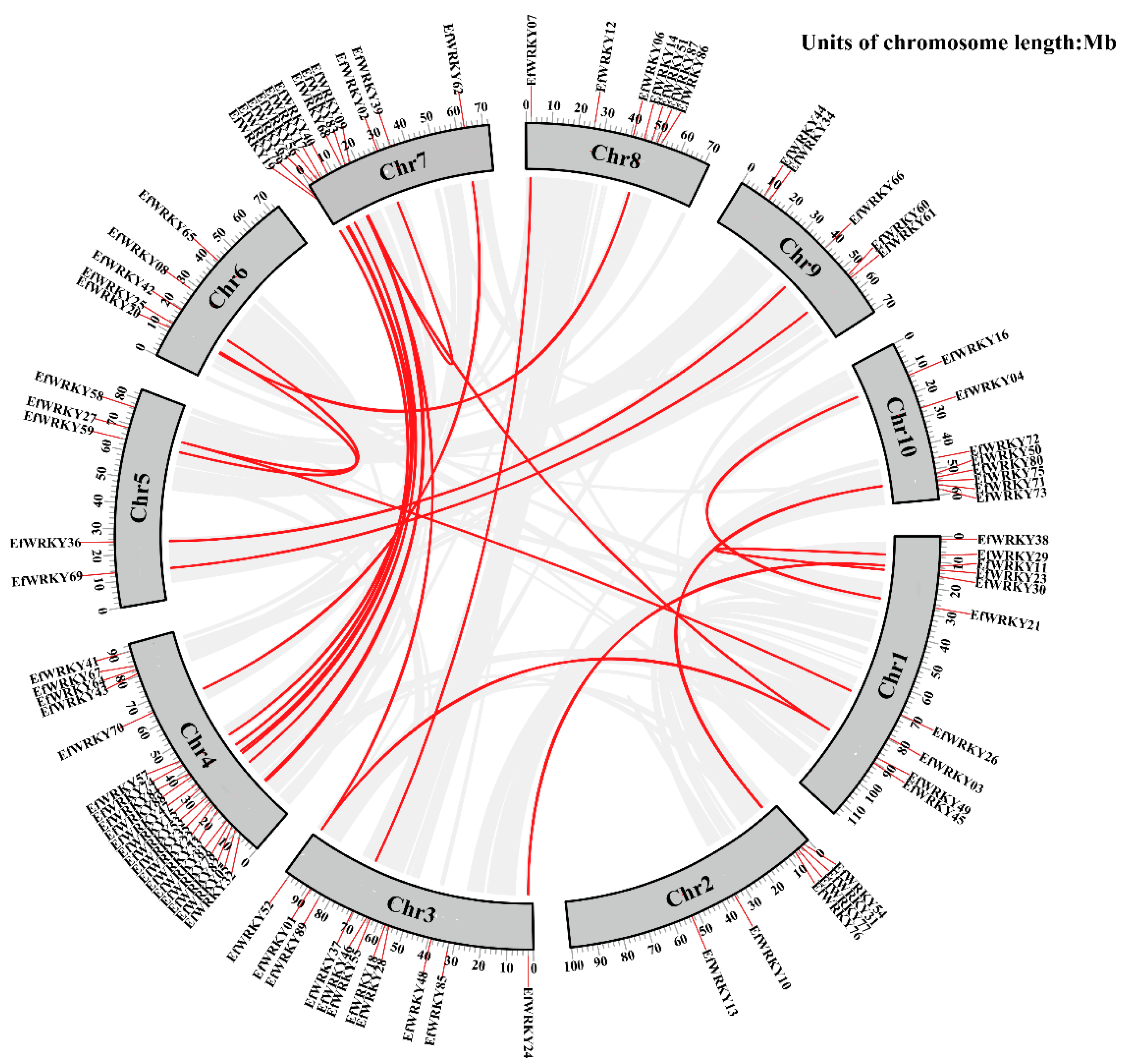 Genes 13 02102 g005 Genes 13 02102 g005