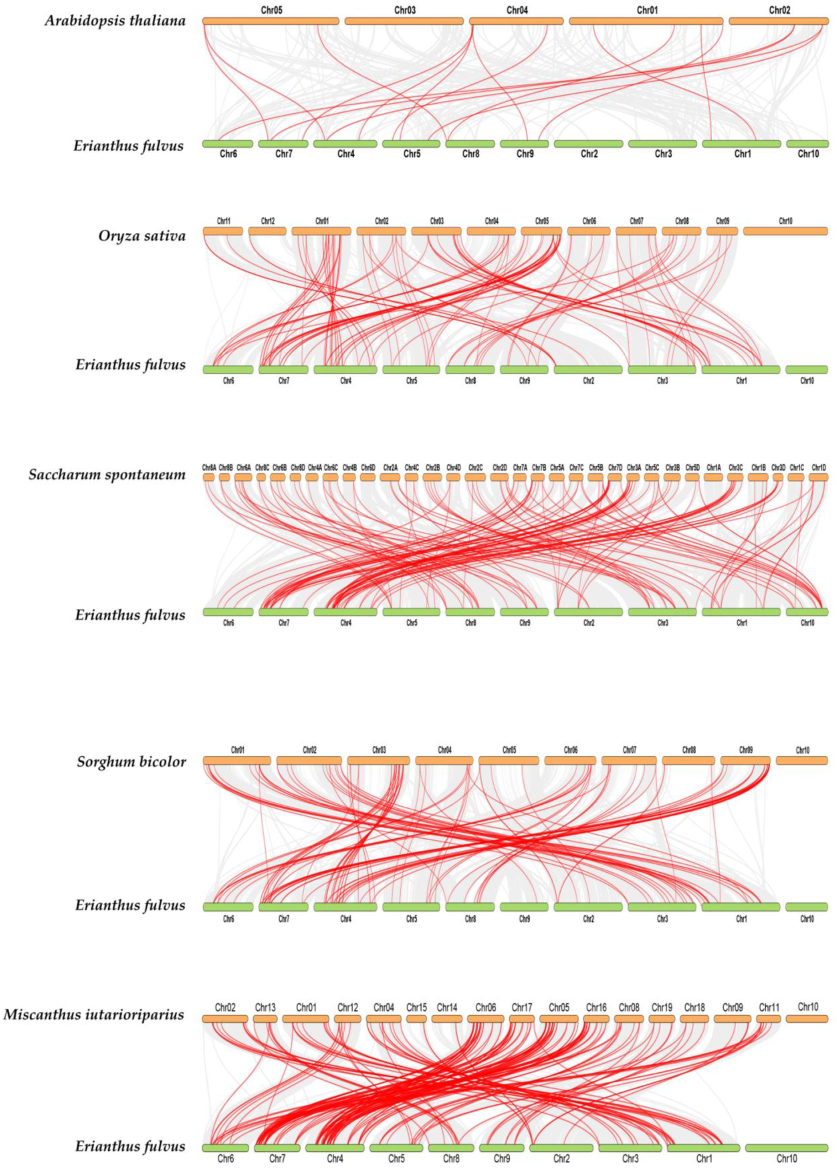 Genes 13 02102 g006 Genes 13 02102 g006