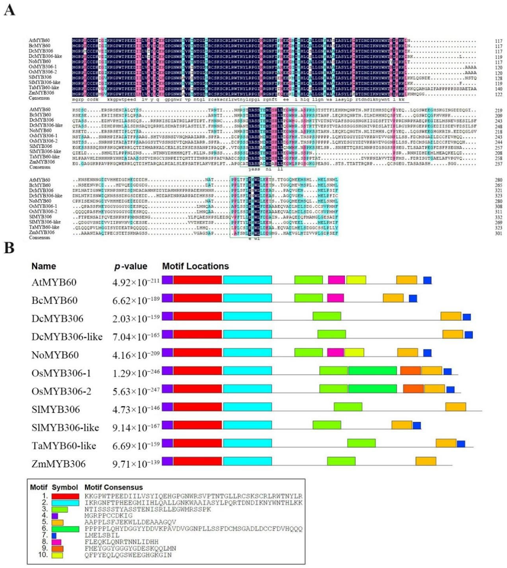 Genes 13 02109 g001 Genes 13 02109 g001