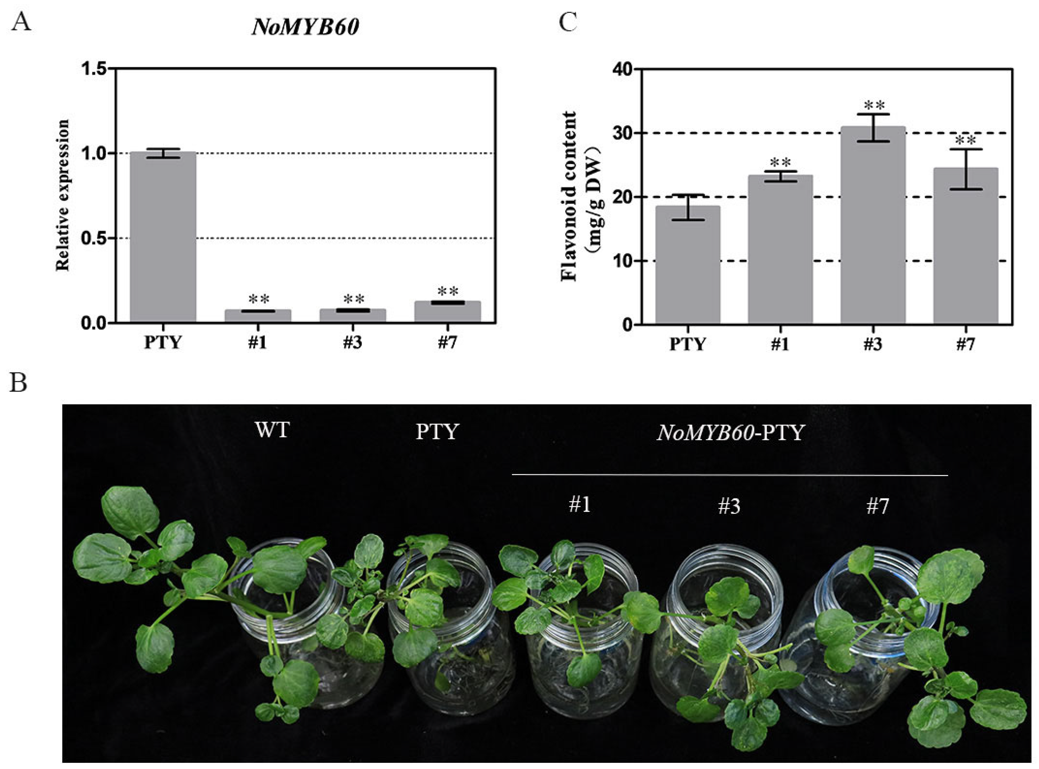 Genes 13 02109 g005 Genes 13 02109 g005