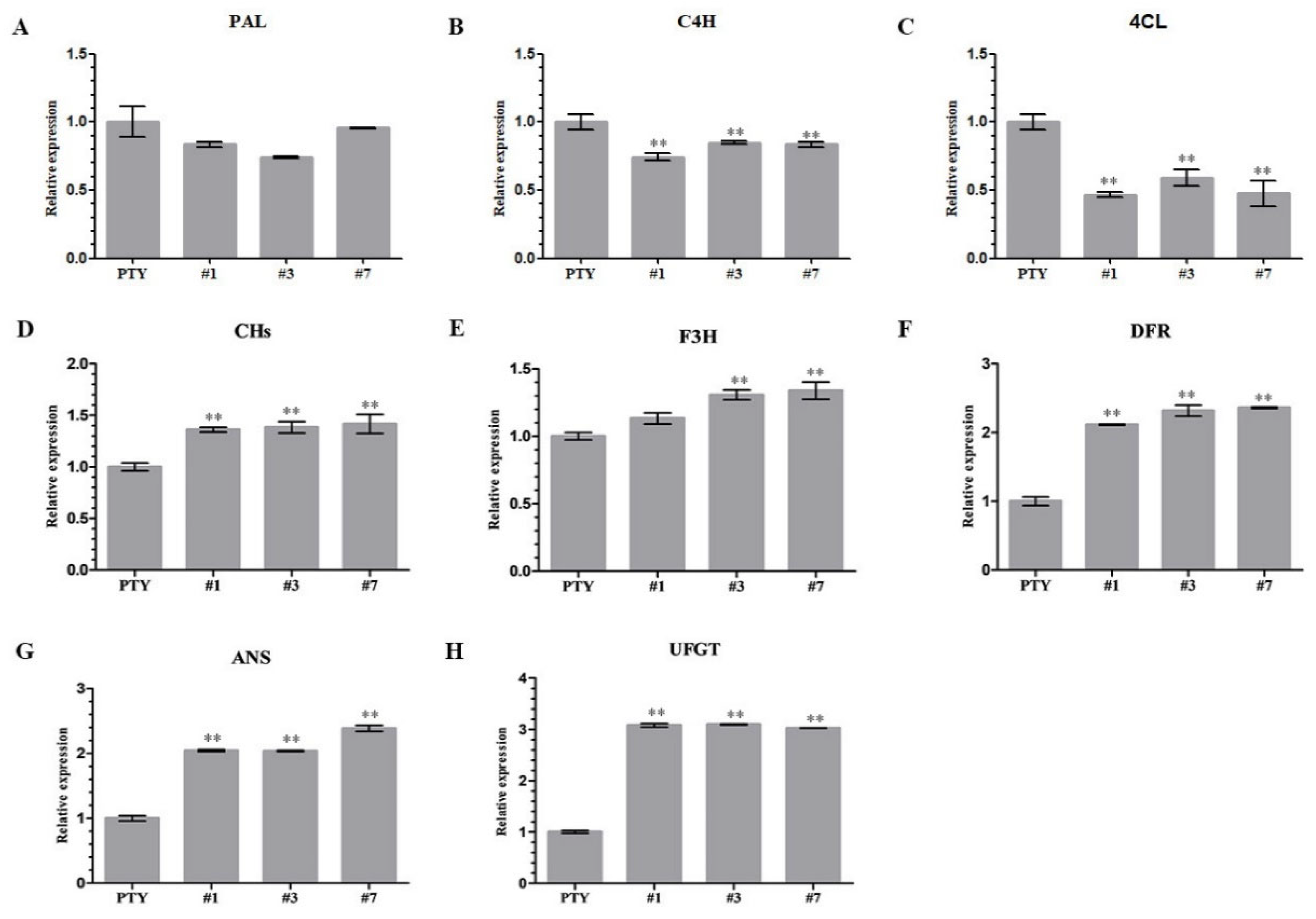 Genes 13 02109 g006 Genes 13 02109 g006