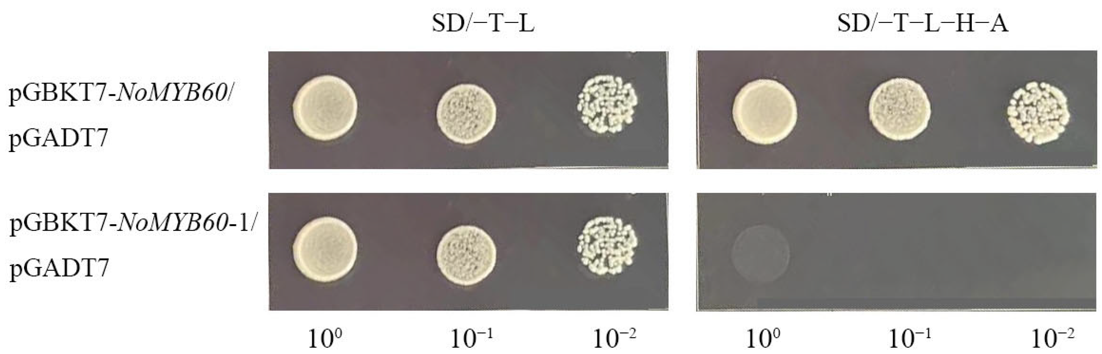 Genes 13 02109 g007 Genes 13 02109 g007