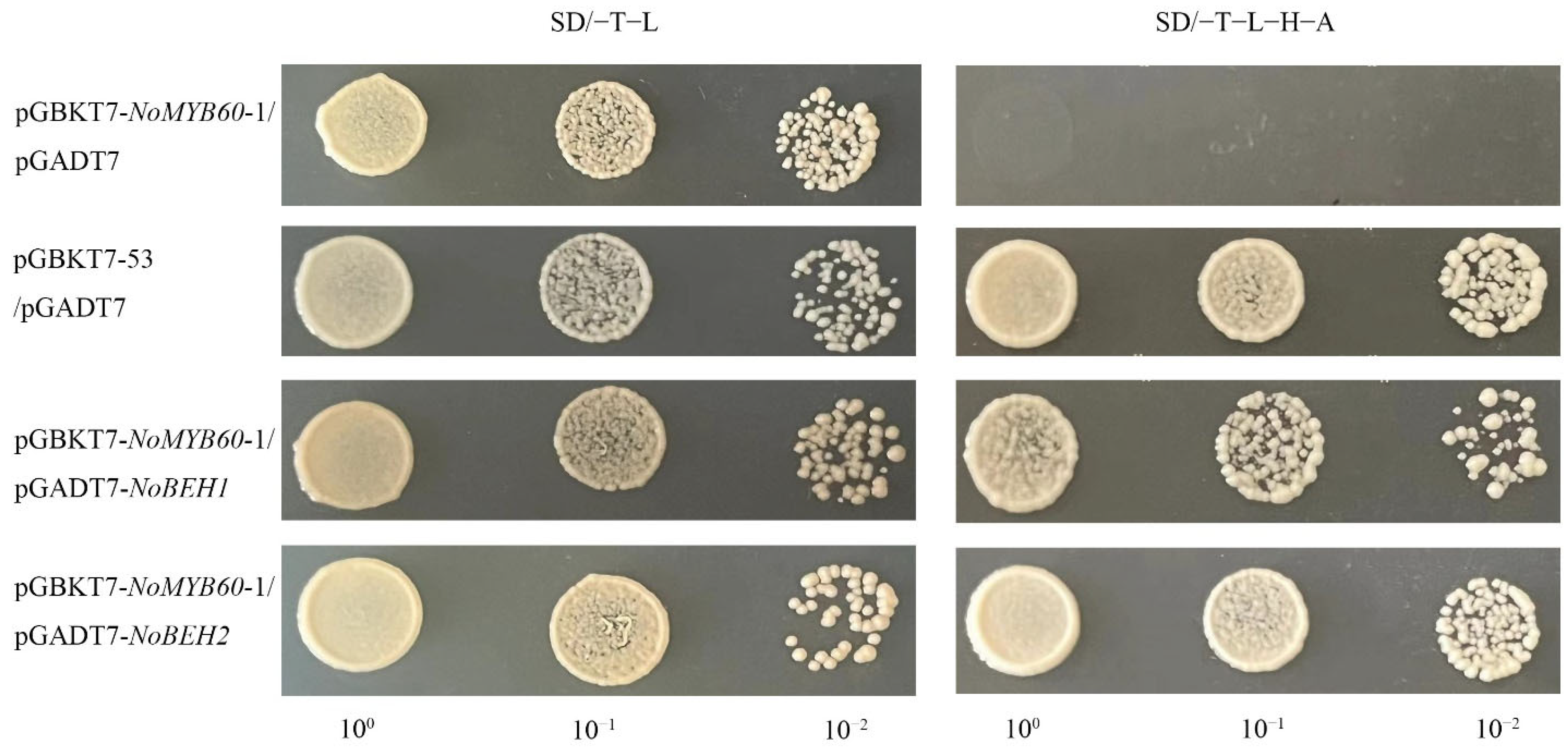 Genes 13 02109 g008 Genes 13 02109 g008