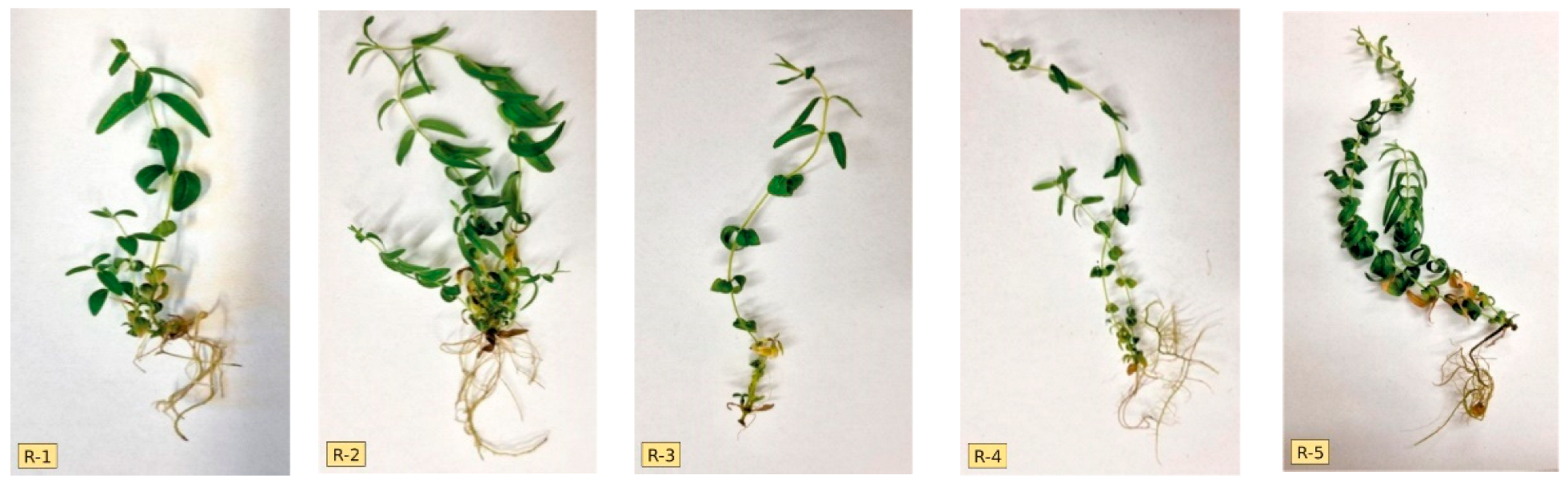 Genes 13 02114 g002a