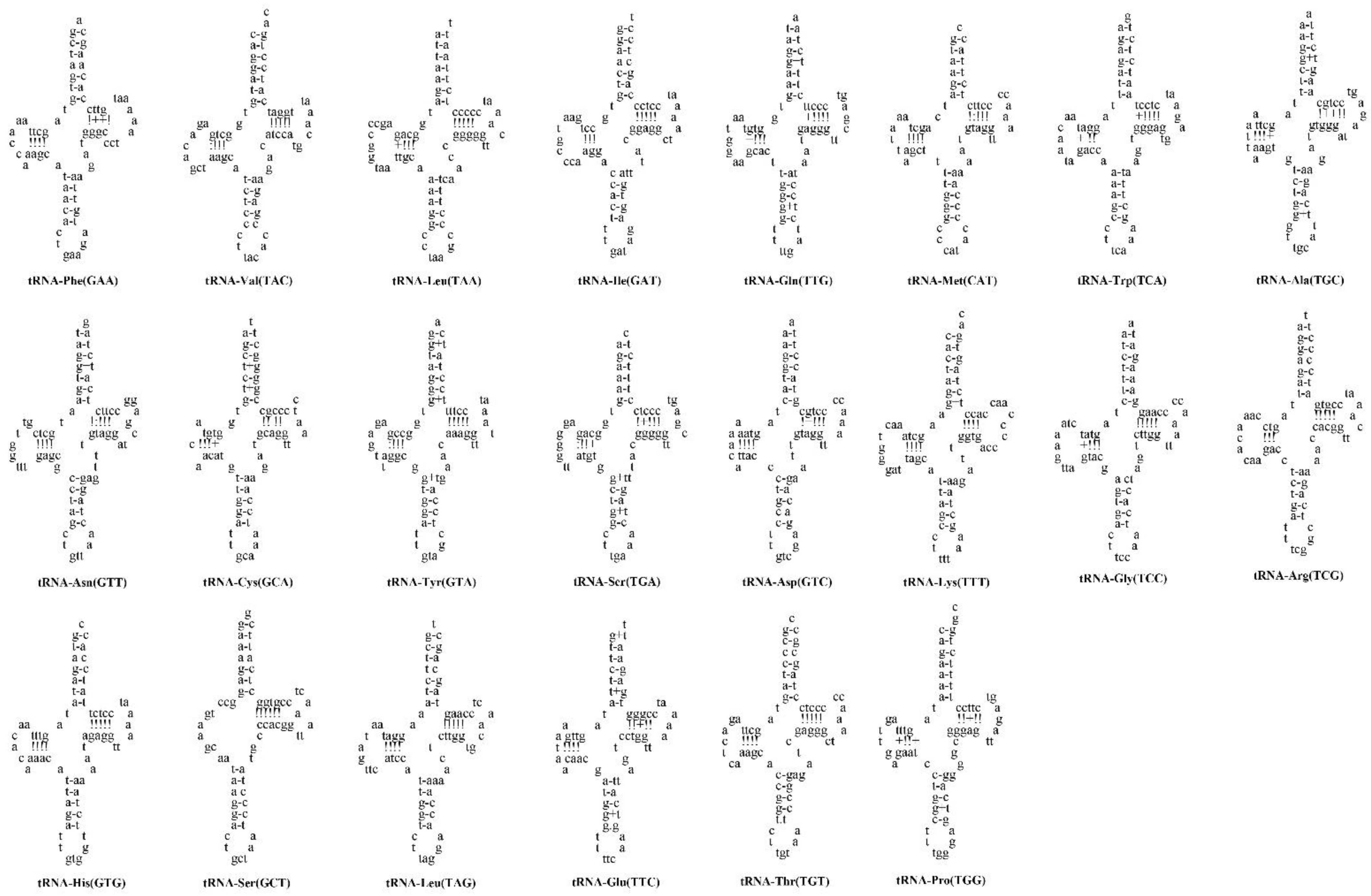 Genes 13 02128 g005 Genes 13 02128 g005