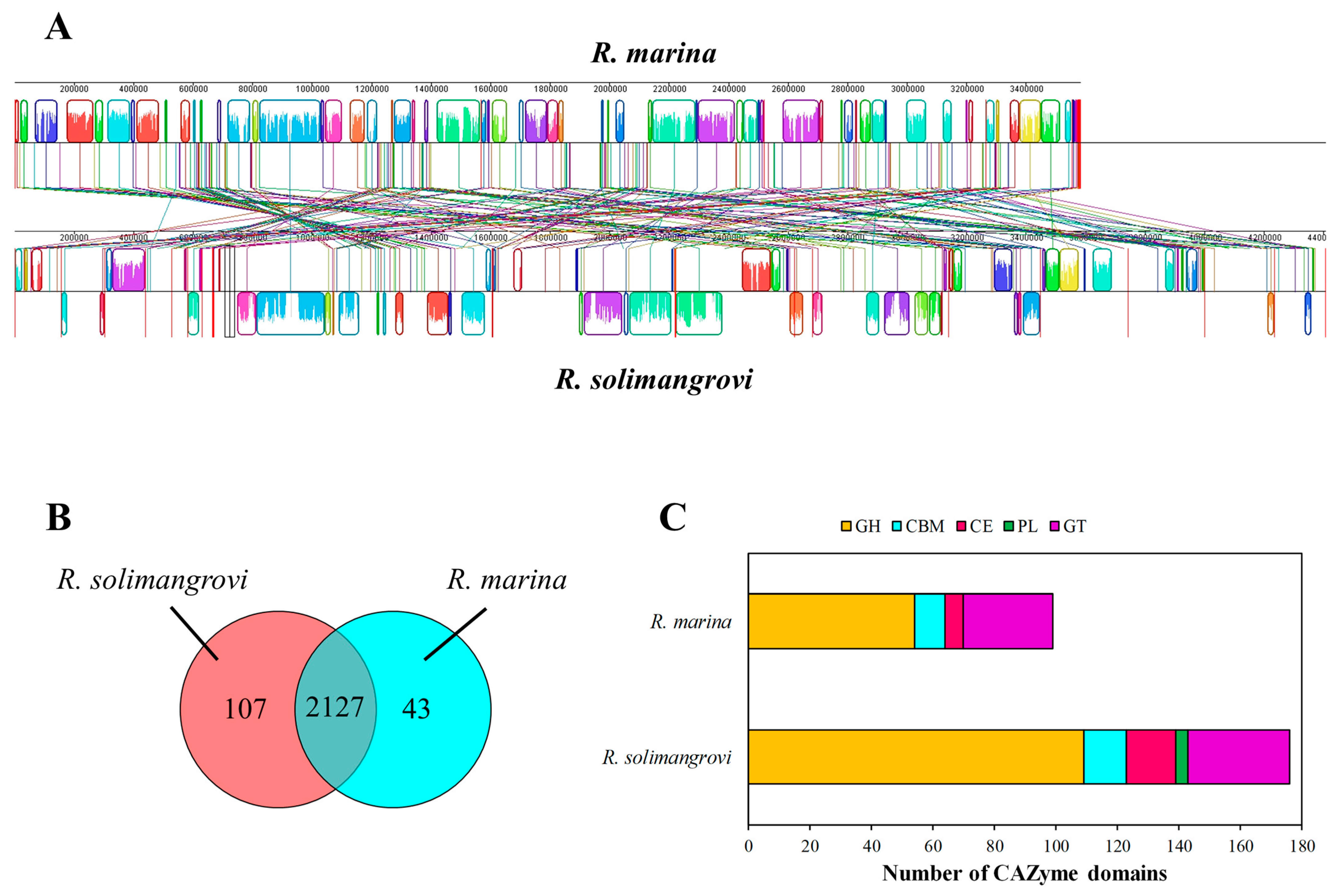 Genes 13 02135 g001