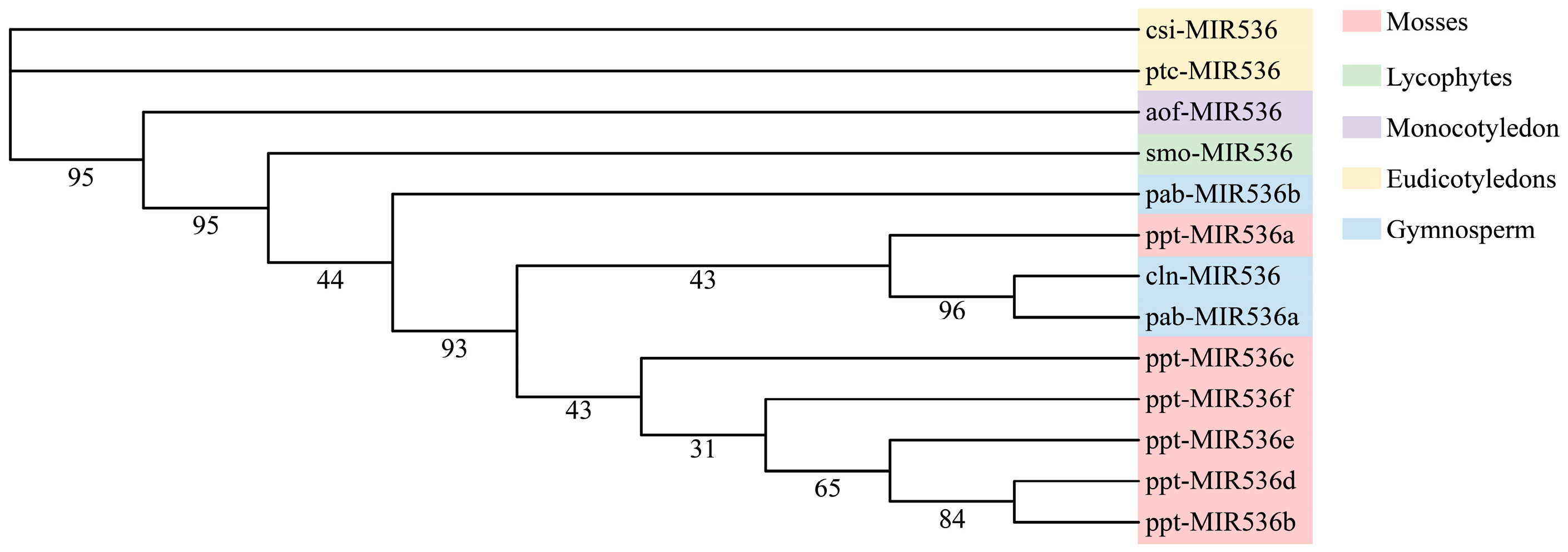 Genes 13 02137 g005 Genes 13 02137 g005