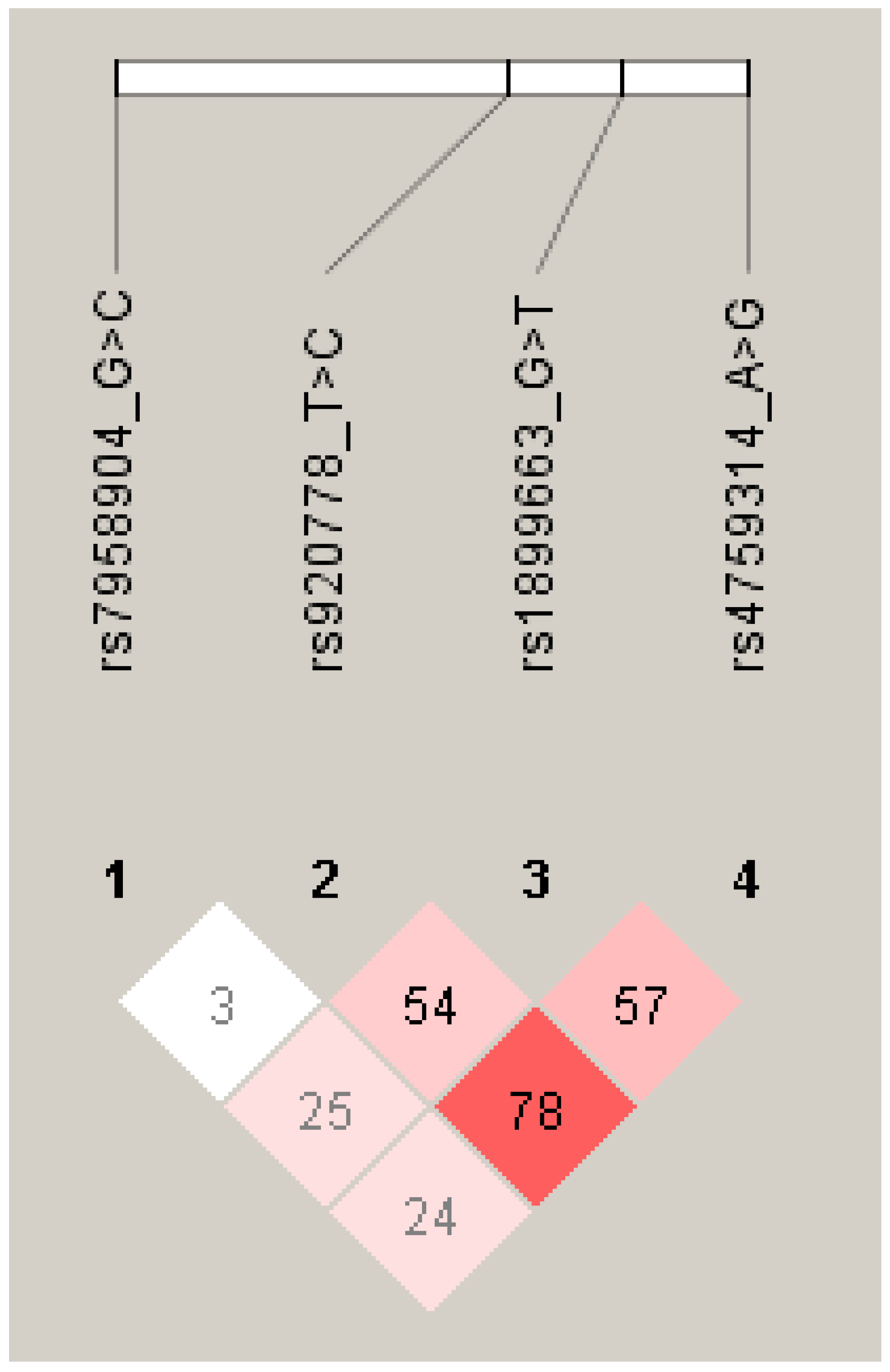Genes 13 02138 g001