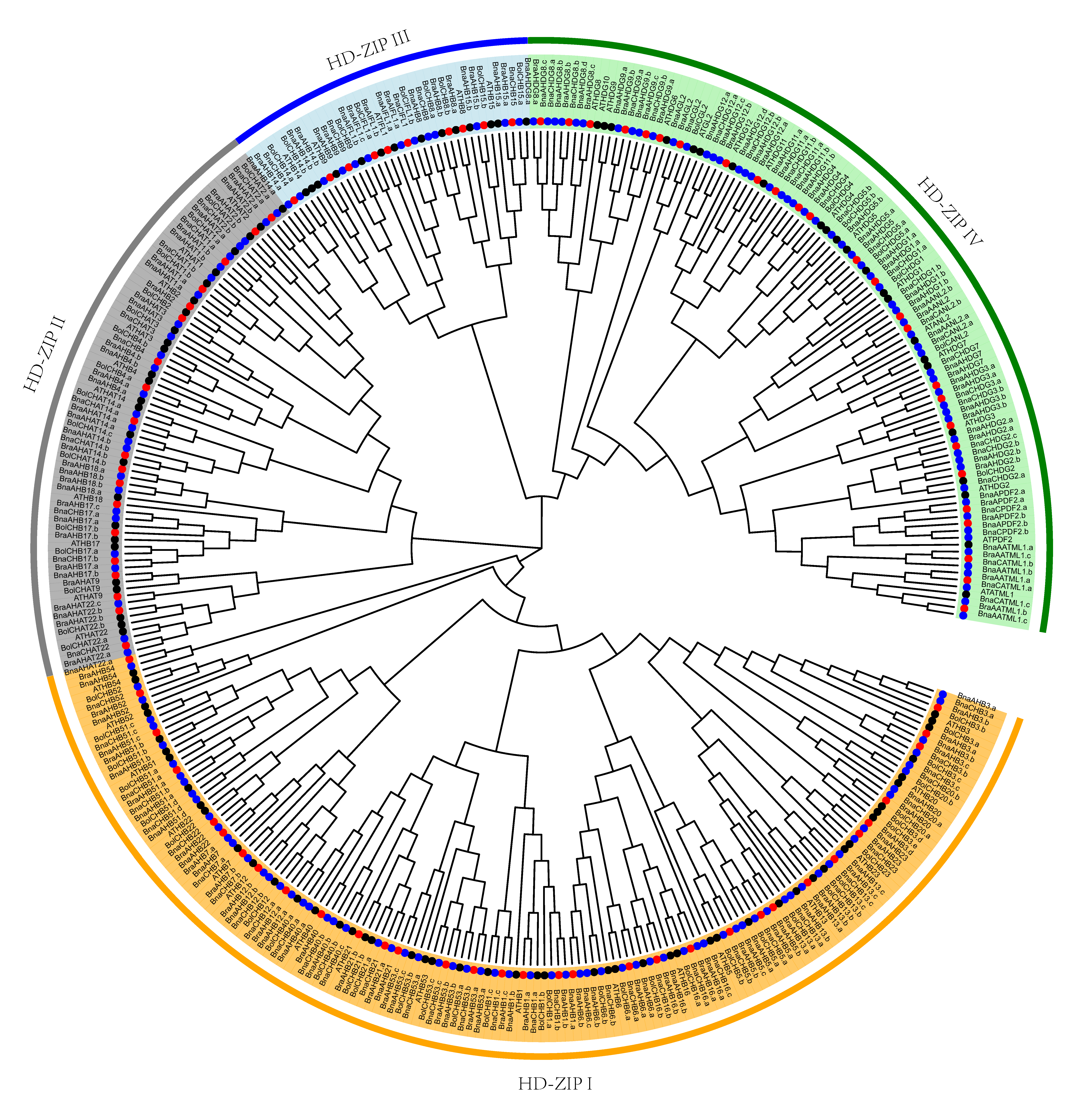 Genes 13 02139 g001 Genes 13 02139 g001