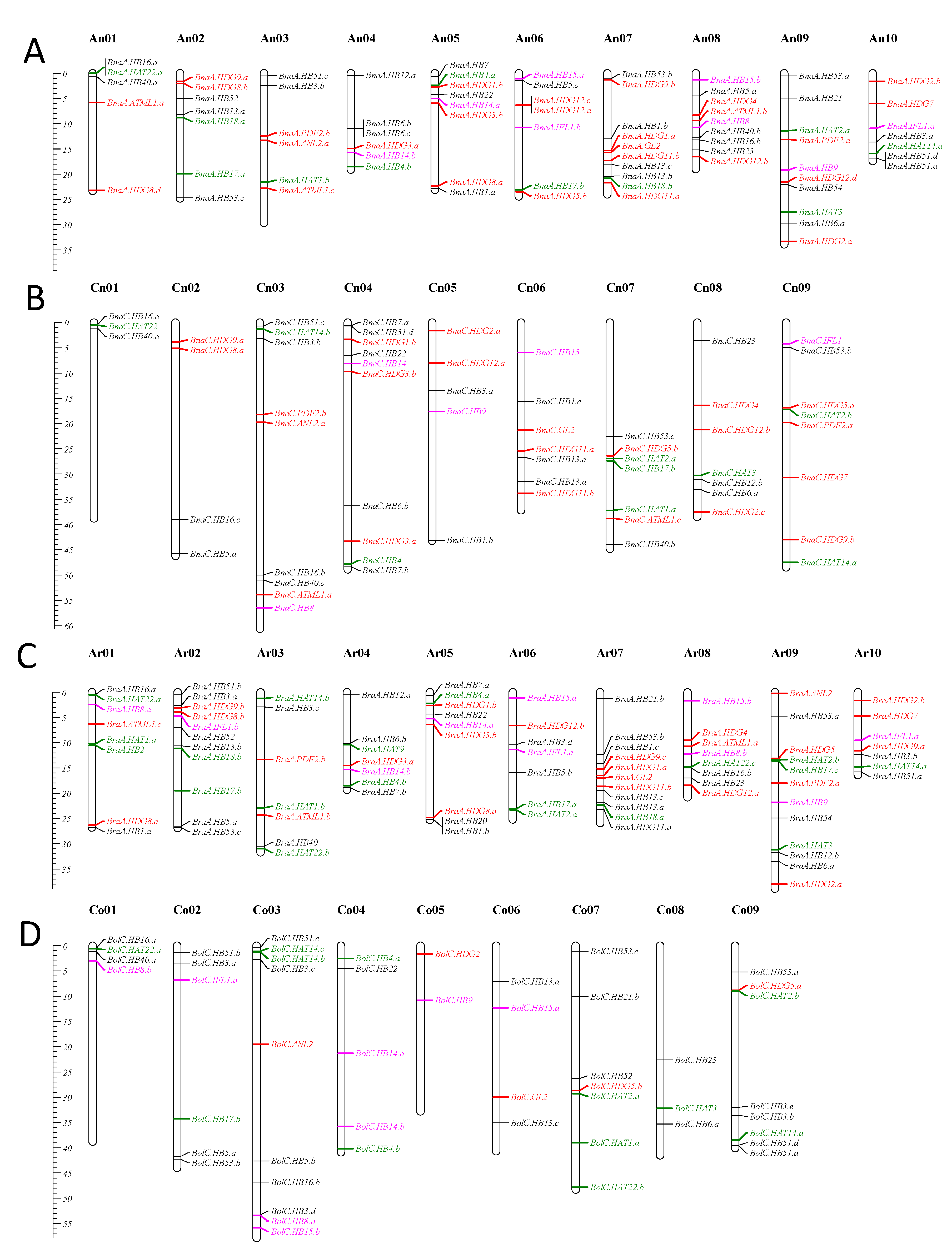 Genes 13 02139 g003 Genes 13 02139 g003