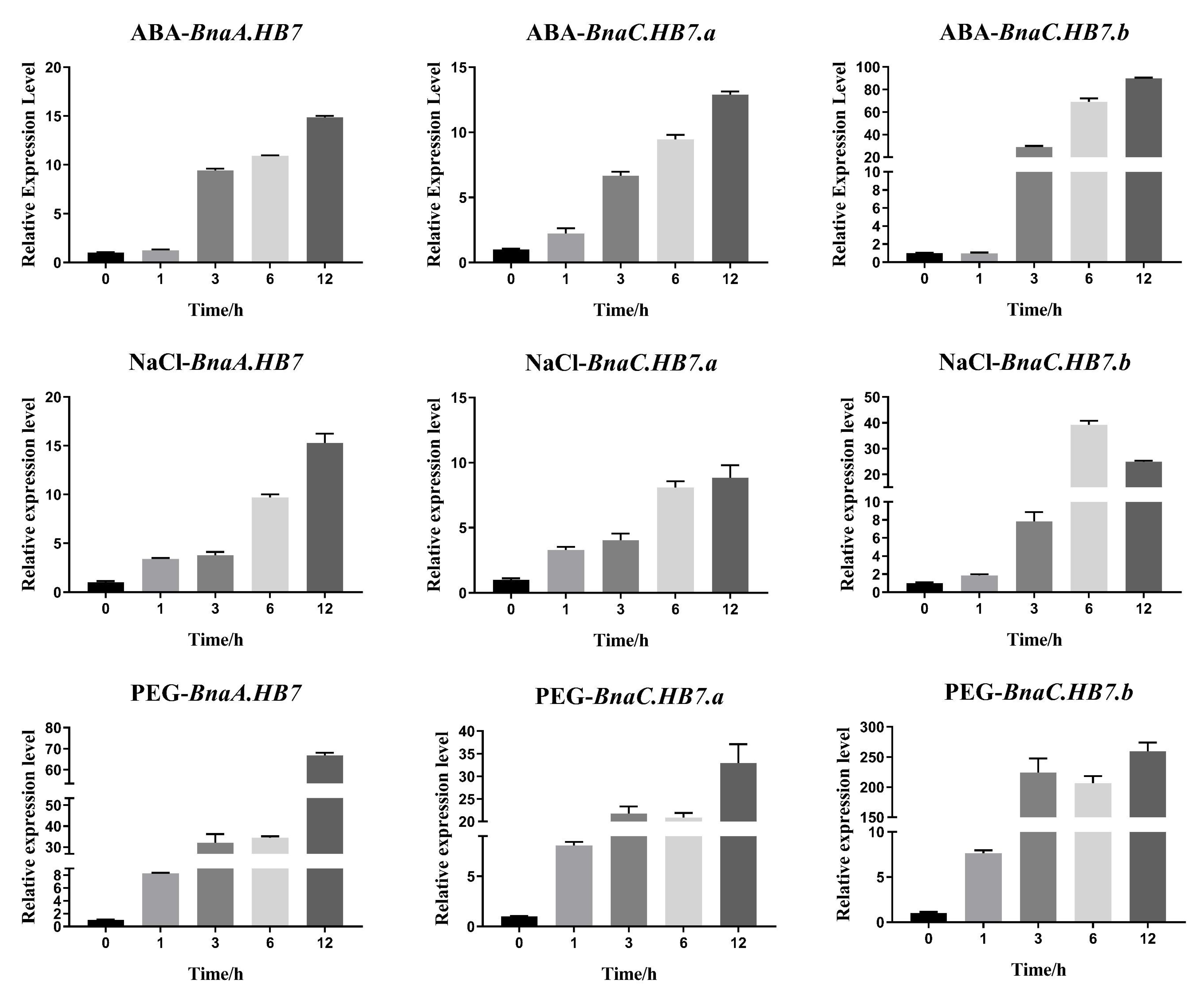 Genes 13 02139 g005 Genes 13 02139 g005