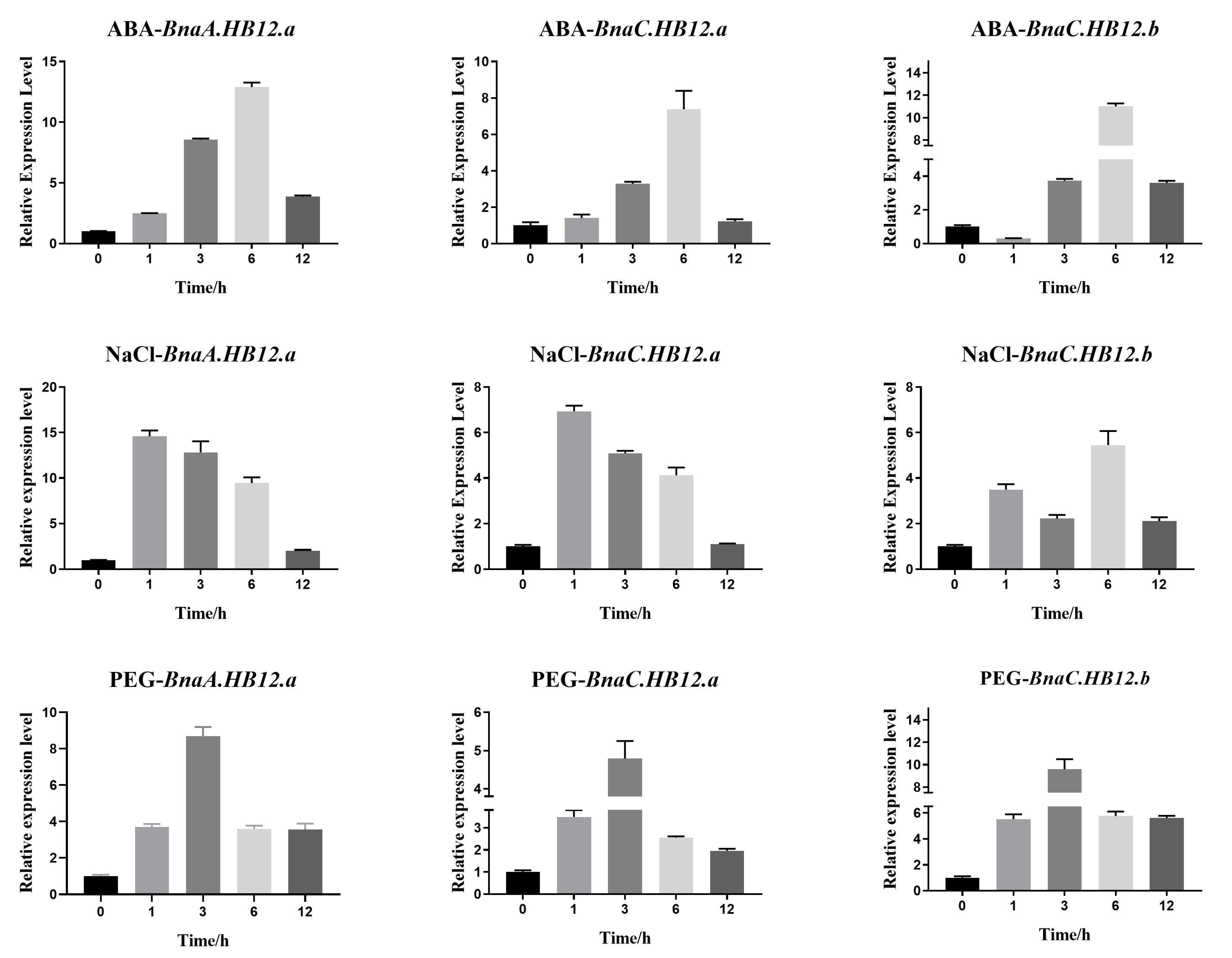 Genes 13 02139 g006 Genes 13 02139 g006