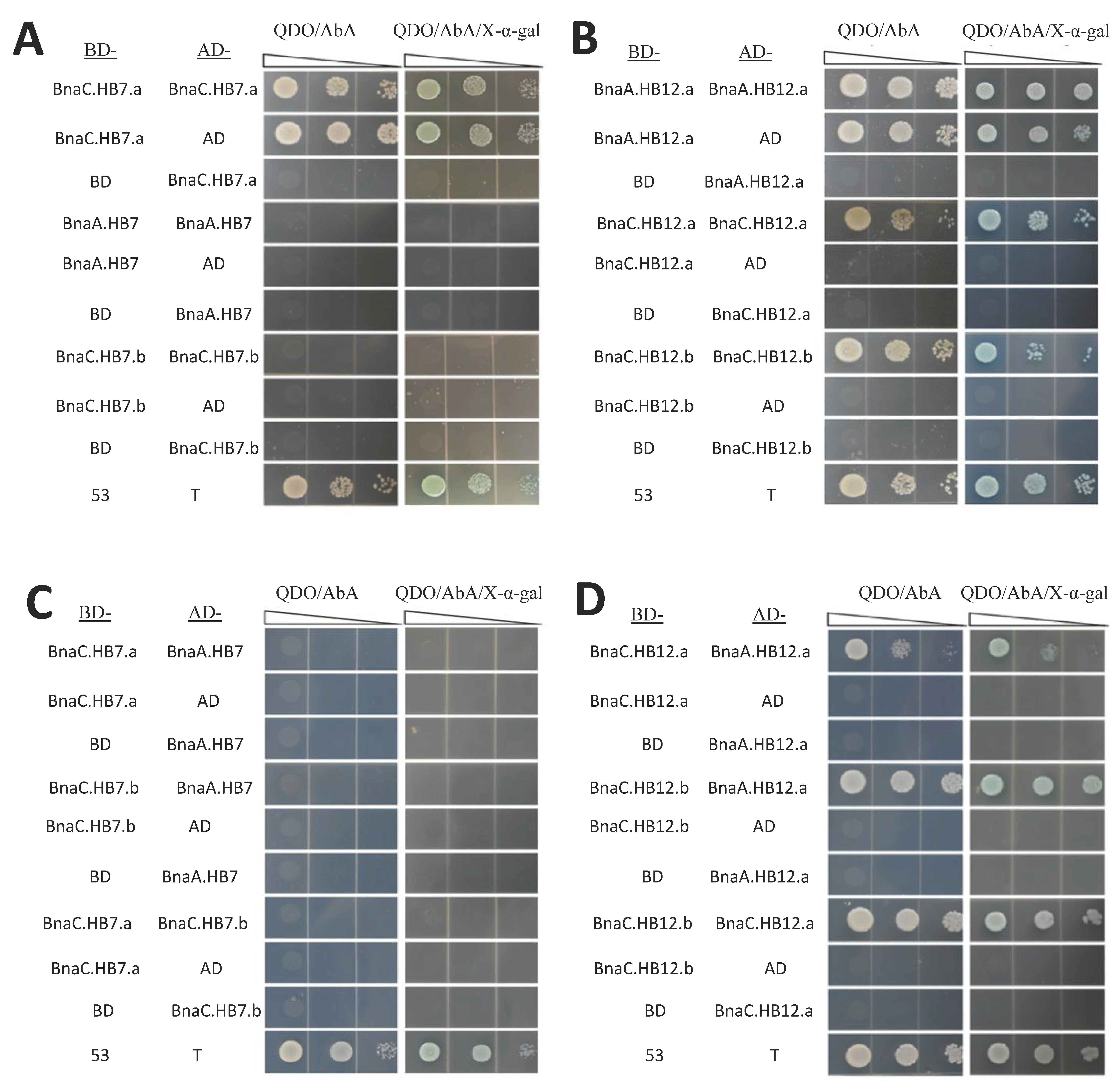 Genes 13 02139 g008 Genes 13 02139 g008