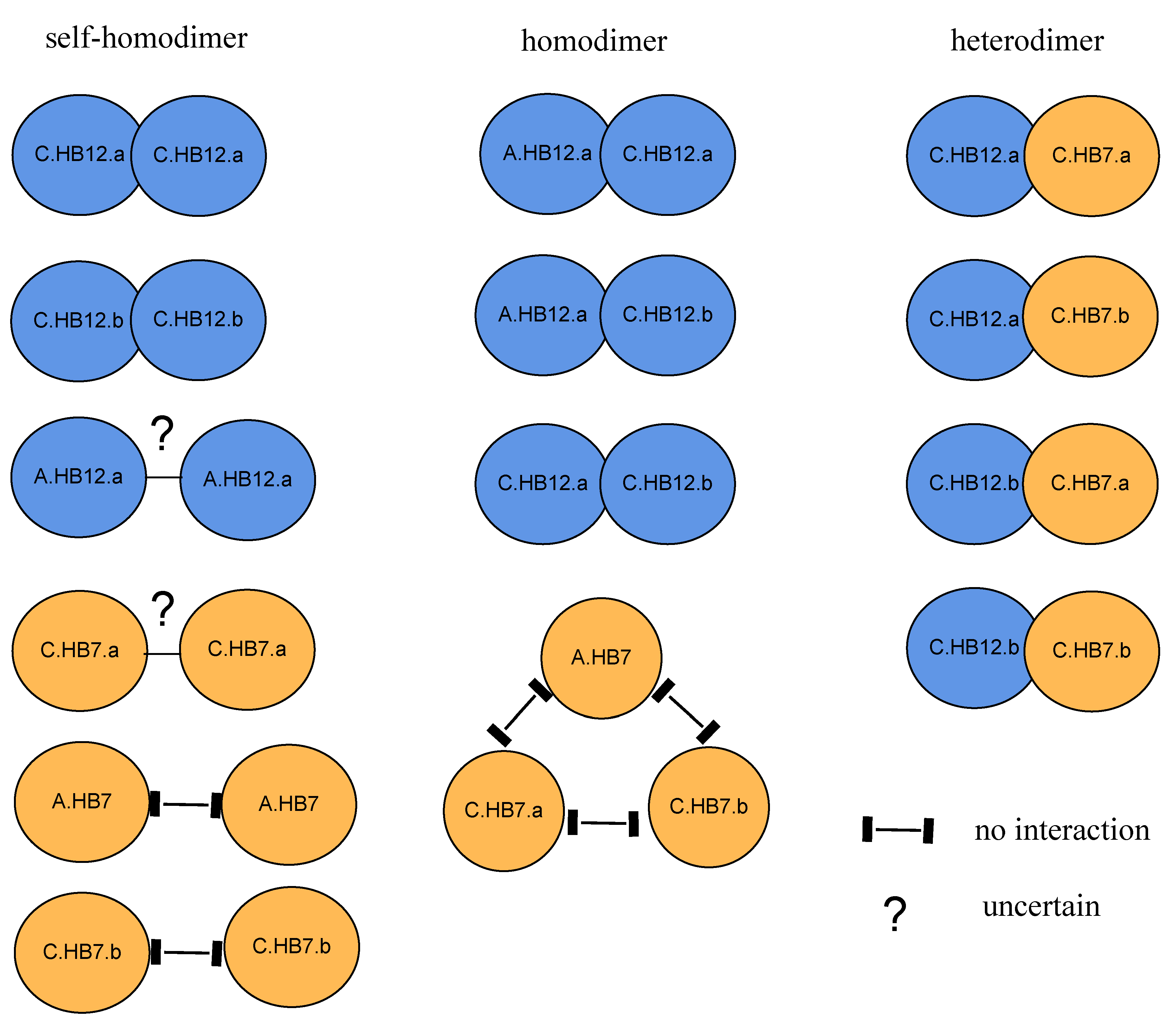 Genes 13 02139 g010 Genes 13 02139 g010